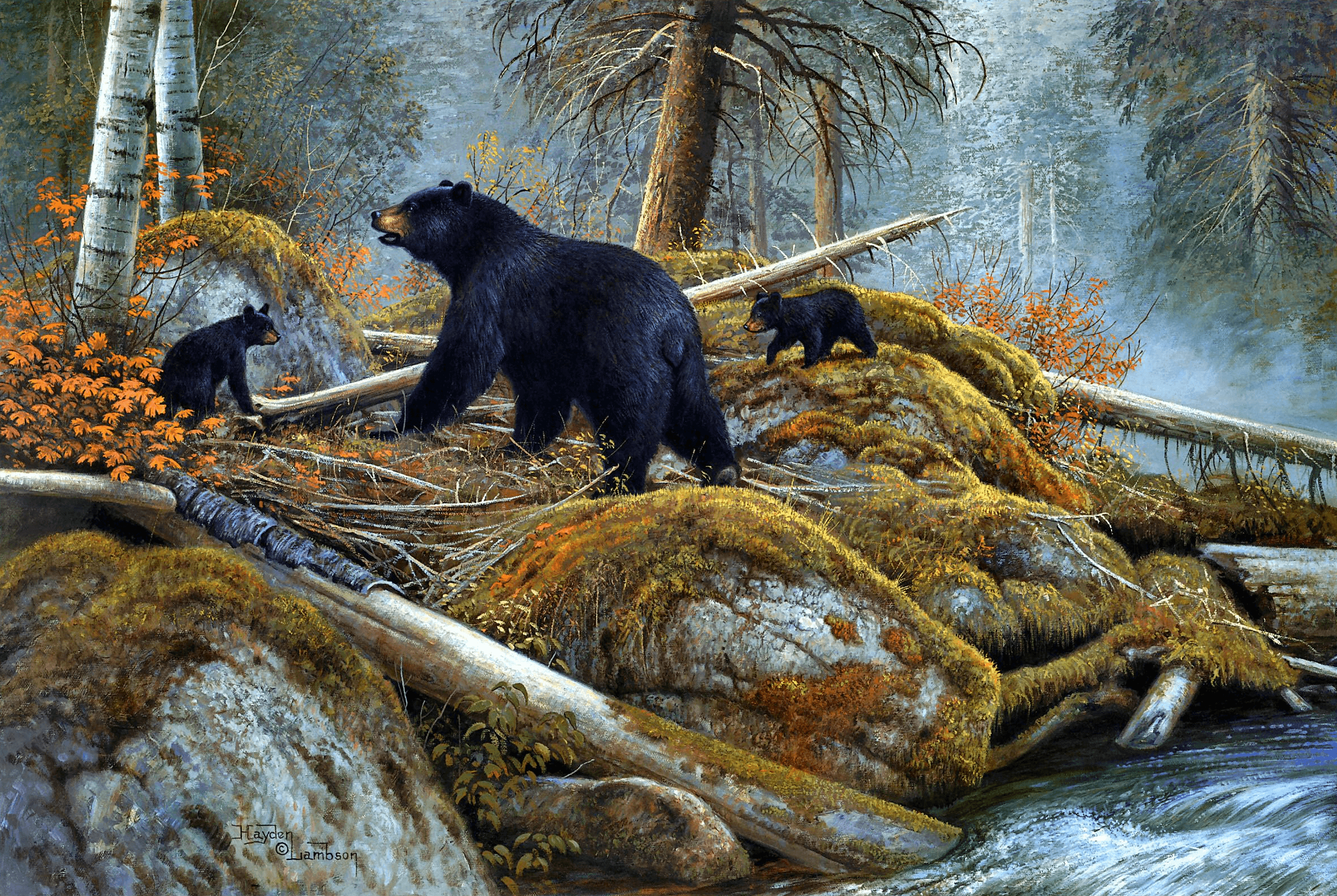 Bear and her Cubs near Autumn Lake HD Wallpaper. Background