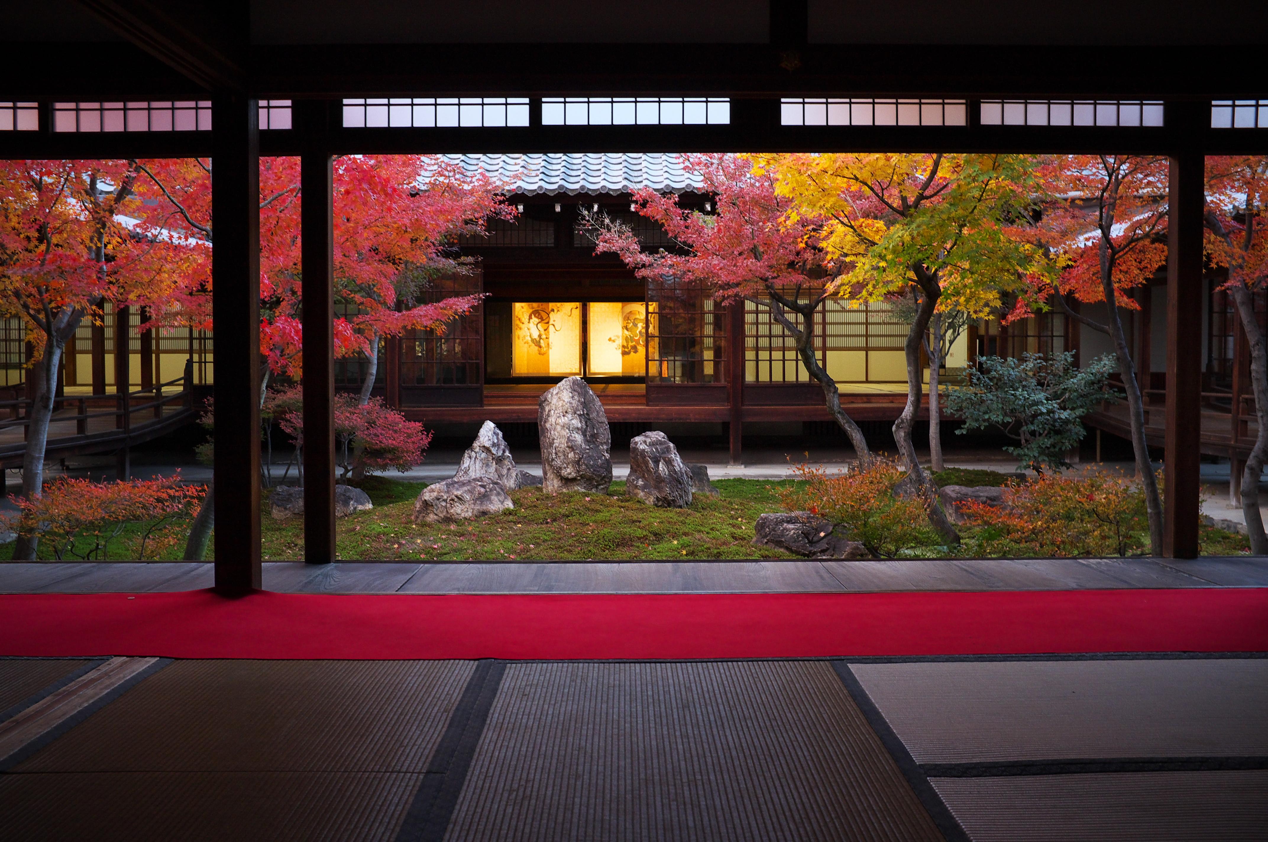 Japan, trees, cityscapes, room, Kyoto, Asia, temple, autumn wallpaper