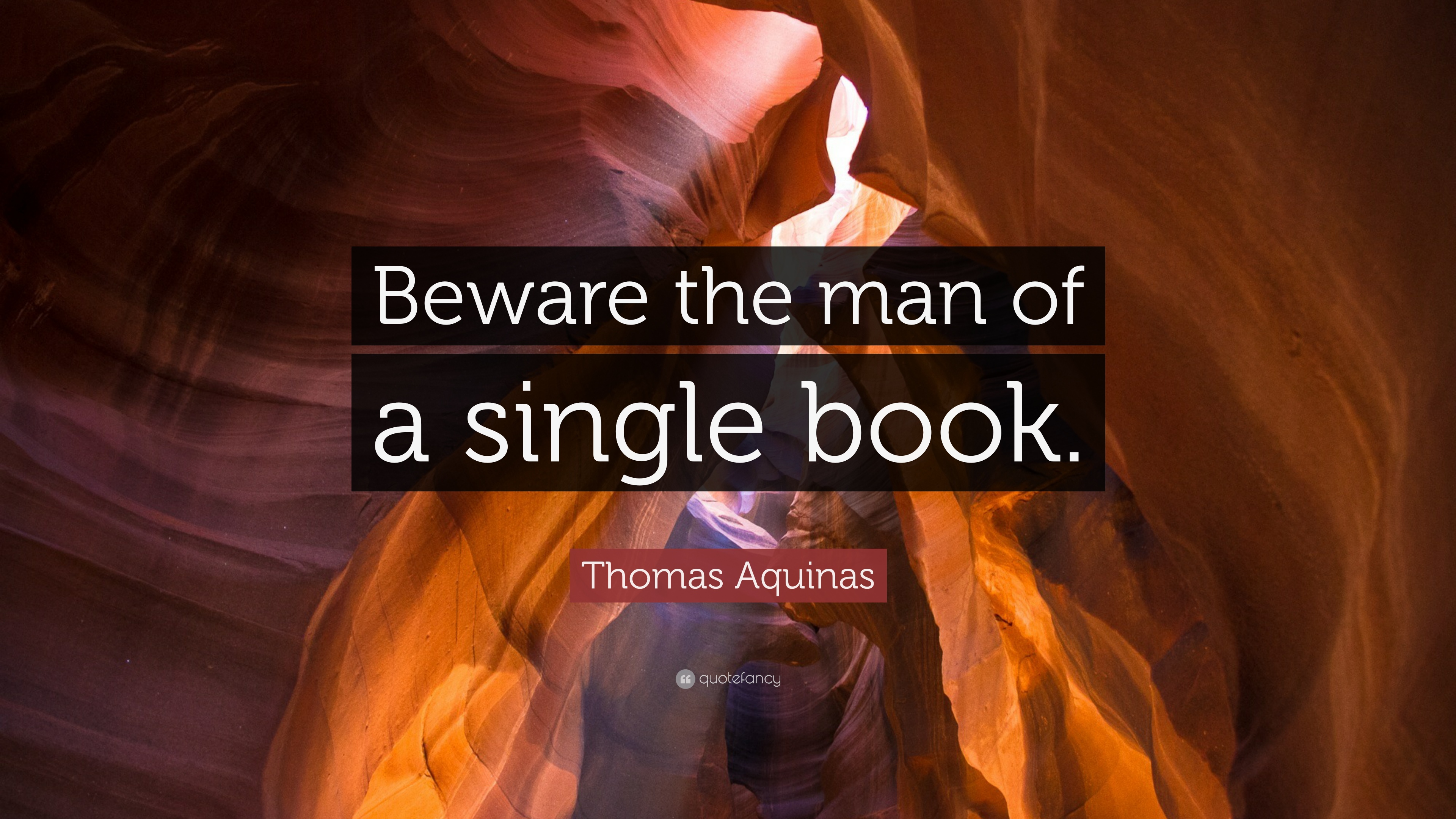 Thomas Aquinas Quote: “Beware the man of a single book.” 12