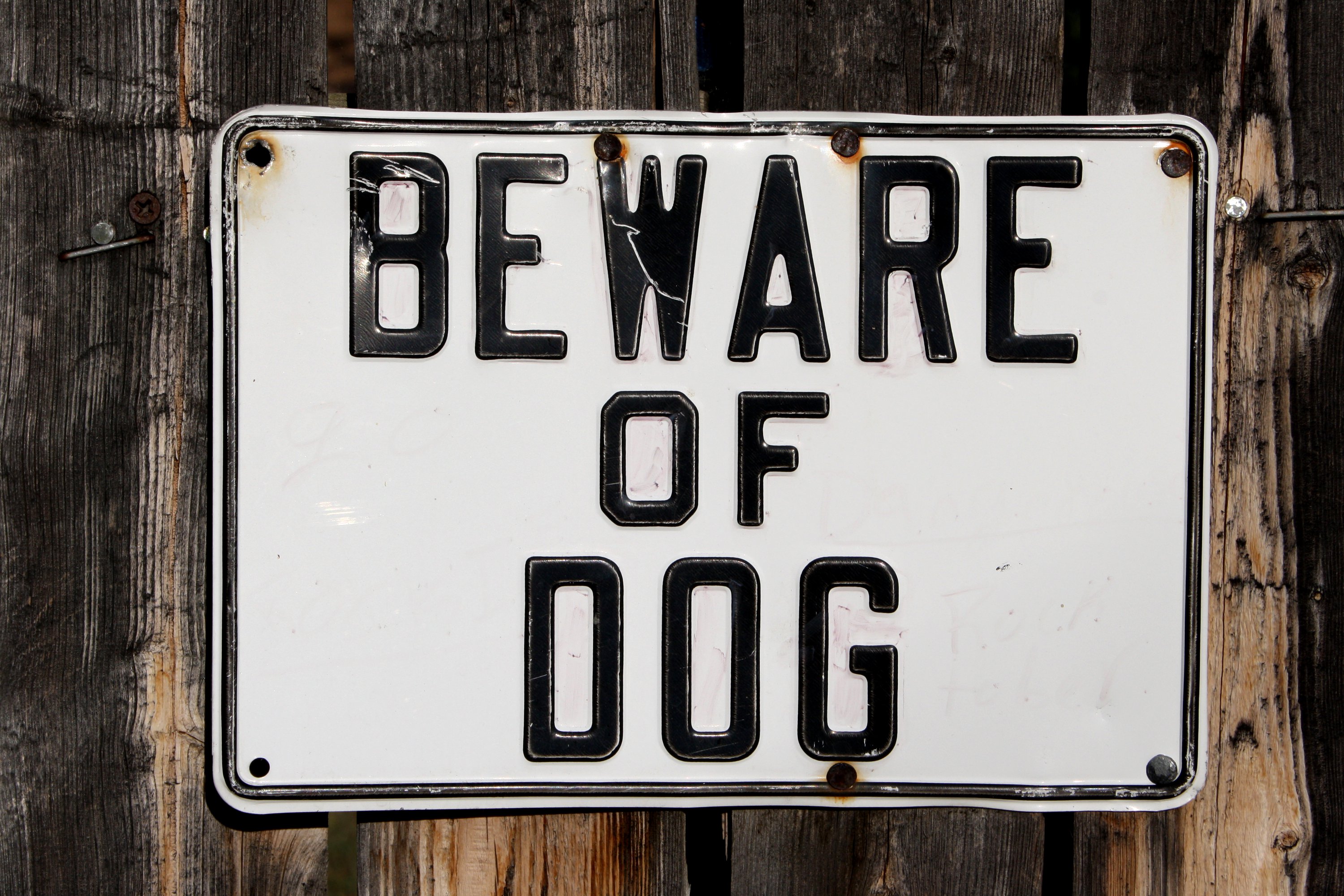 Beware of Dog Sign Picture. Free Photograph. Photo Public