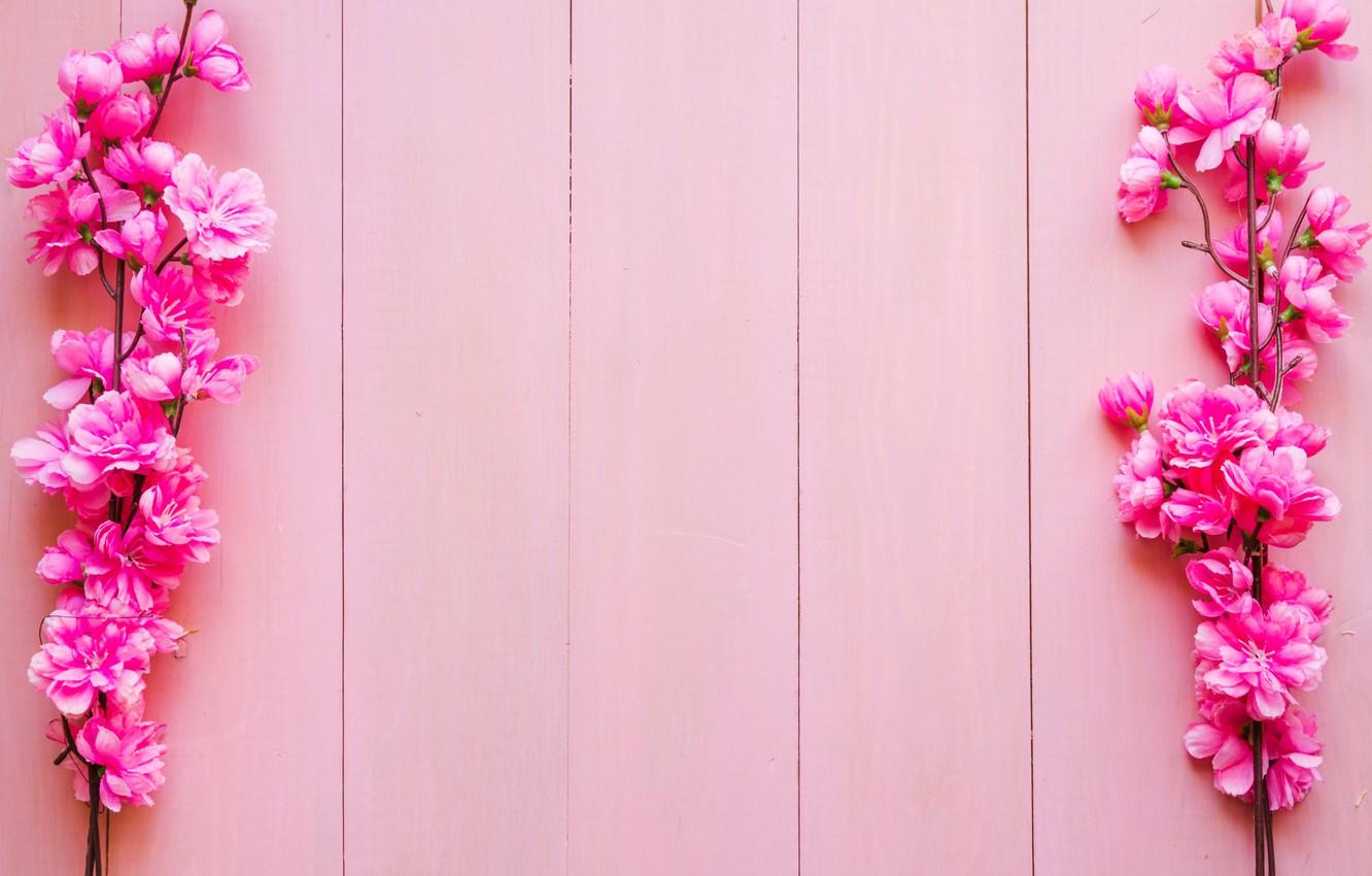 Wallpaper flowers, branches, background, pink, wood, pink