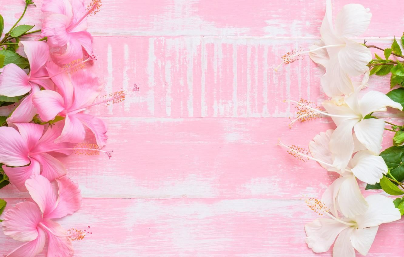 Wallpaper flowers, background, pink, wood, pink, flowers