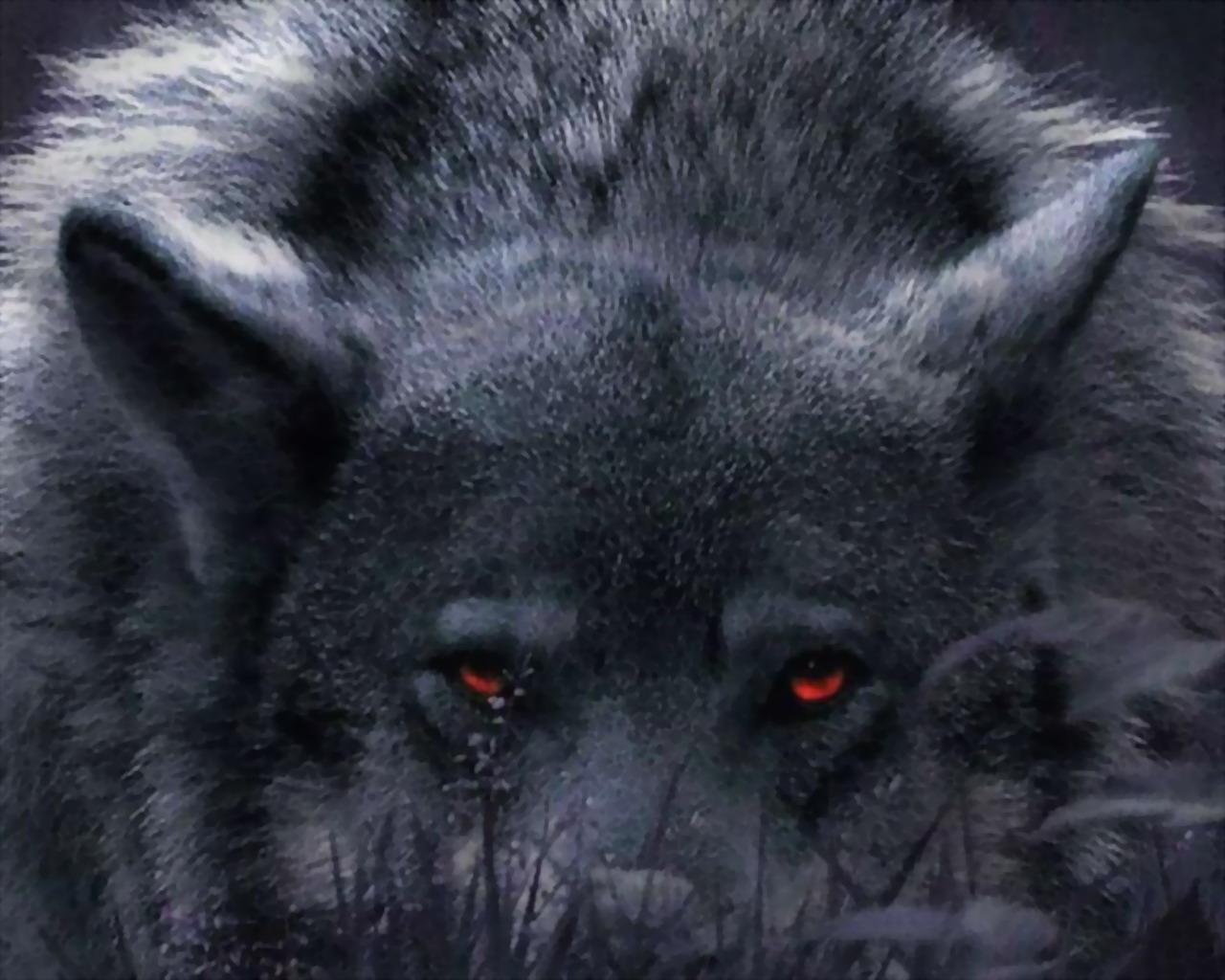 Cool Alpha Wolf Red Eyes