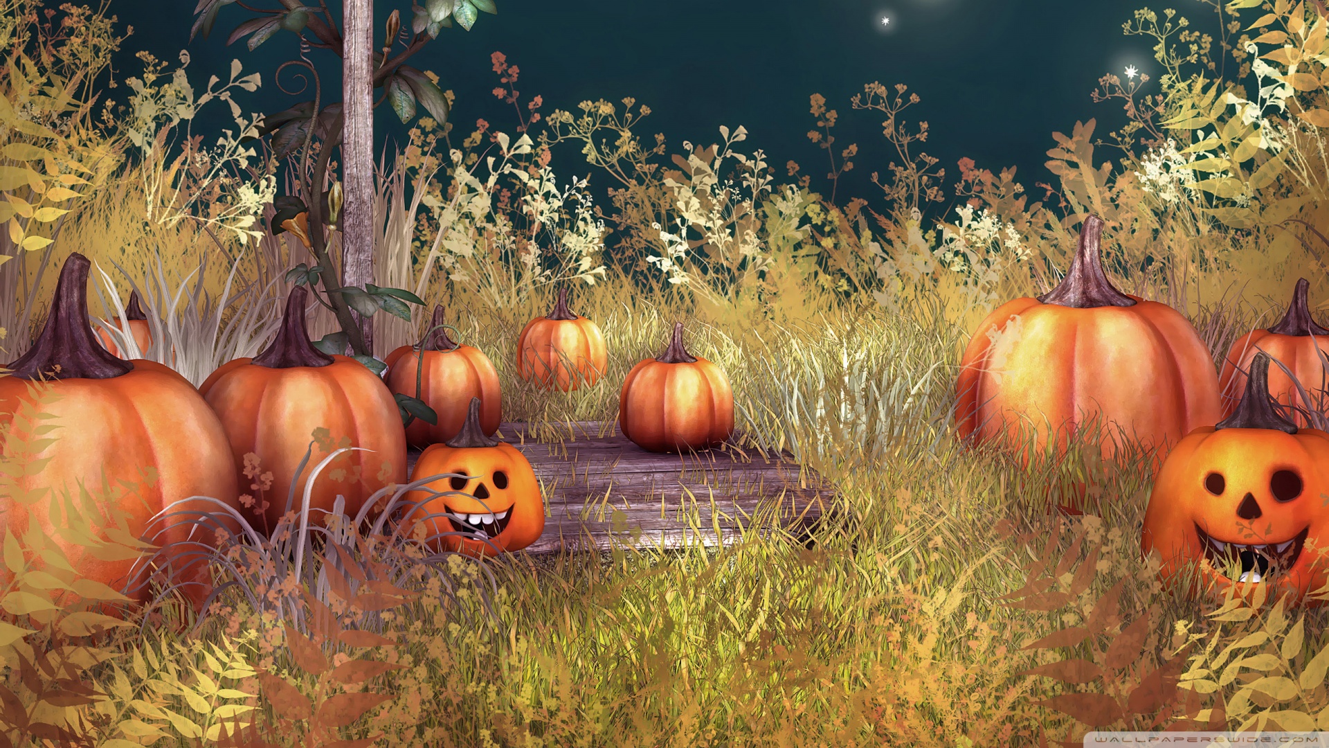 Download Halloween Pumpkins Wallpaper 1920x1080