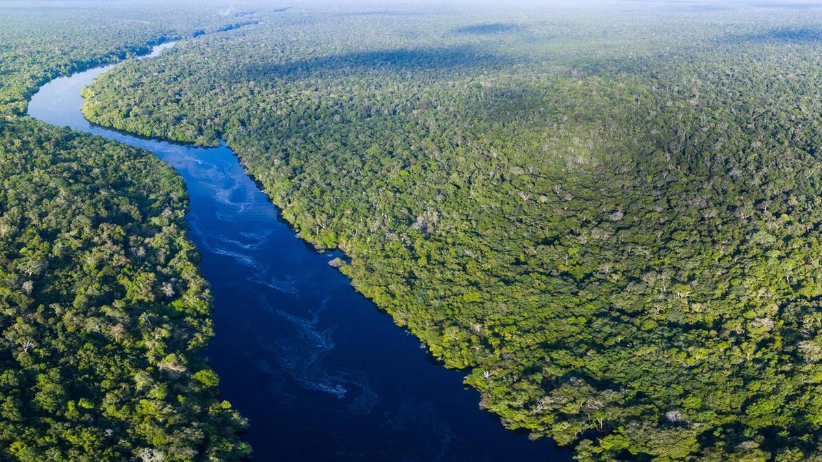 Brazil's Best Kept Secret: A Night In The Amazon Rainforest