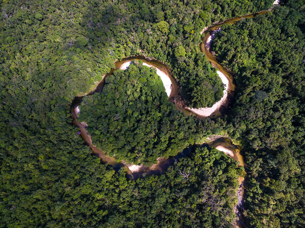 Picture Brazil Amazon Jungle Nature forest river From above