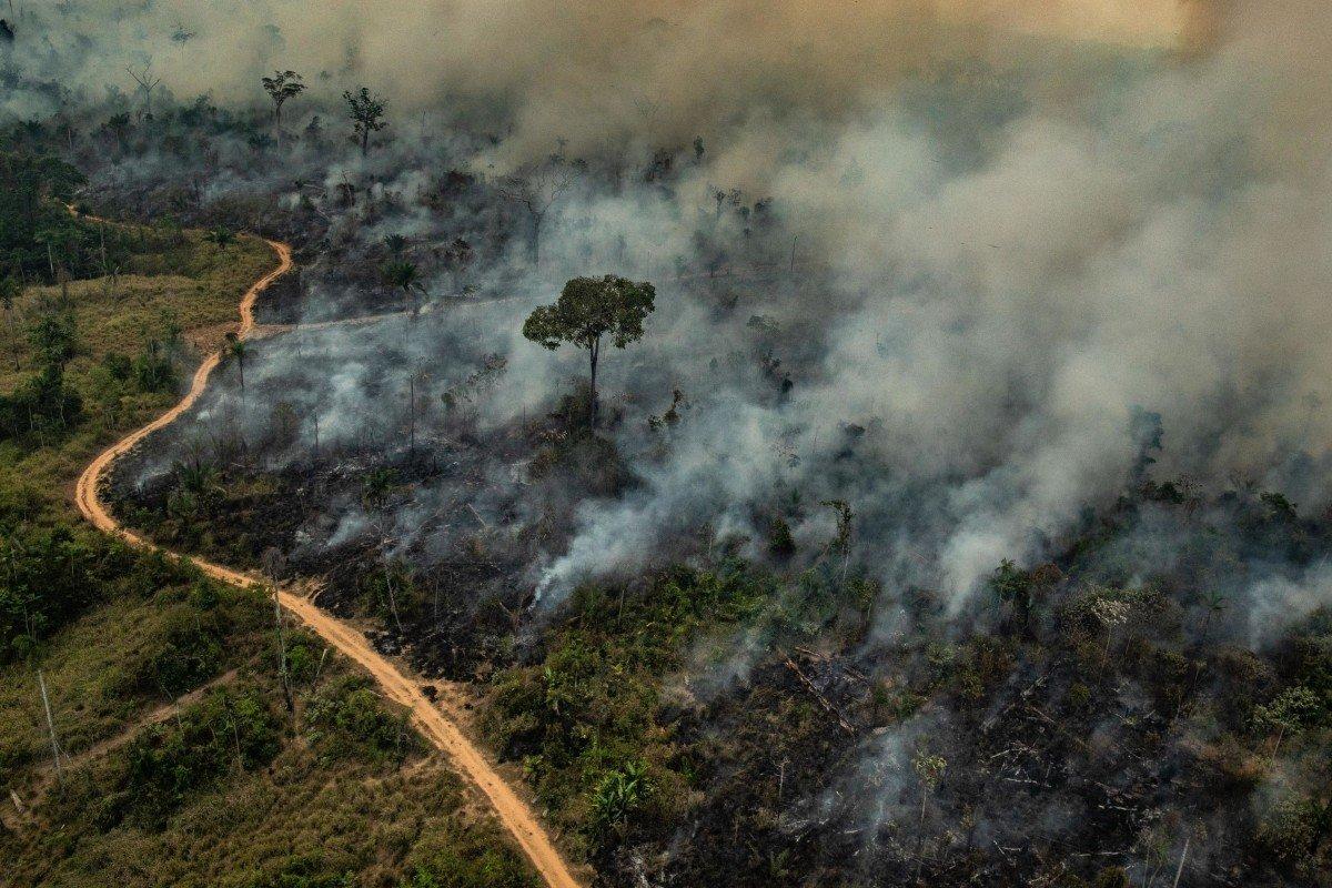 Fires In Amazon Rainforest Are Being Fuelled By US China