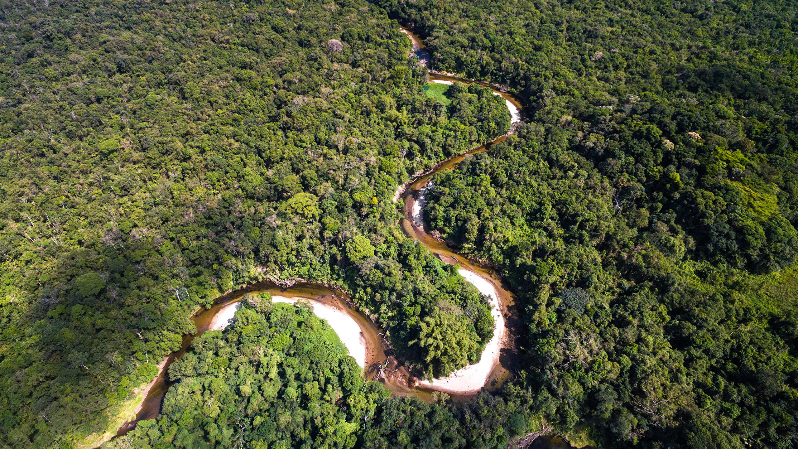 Image Brazil Amazon Jungle Nature Forests river From above