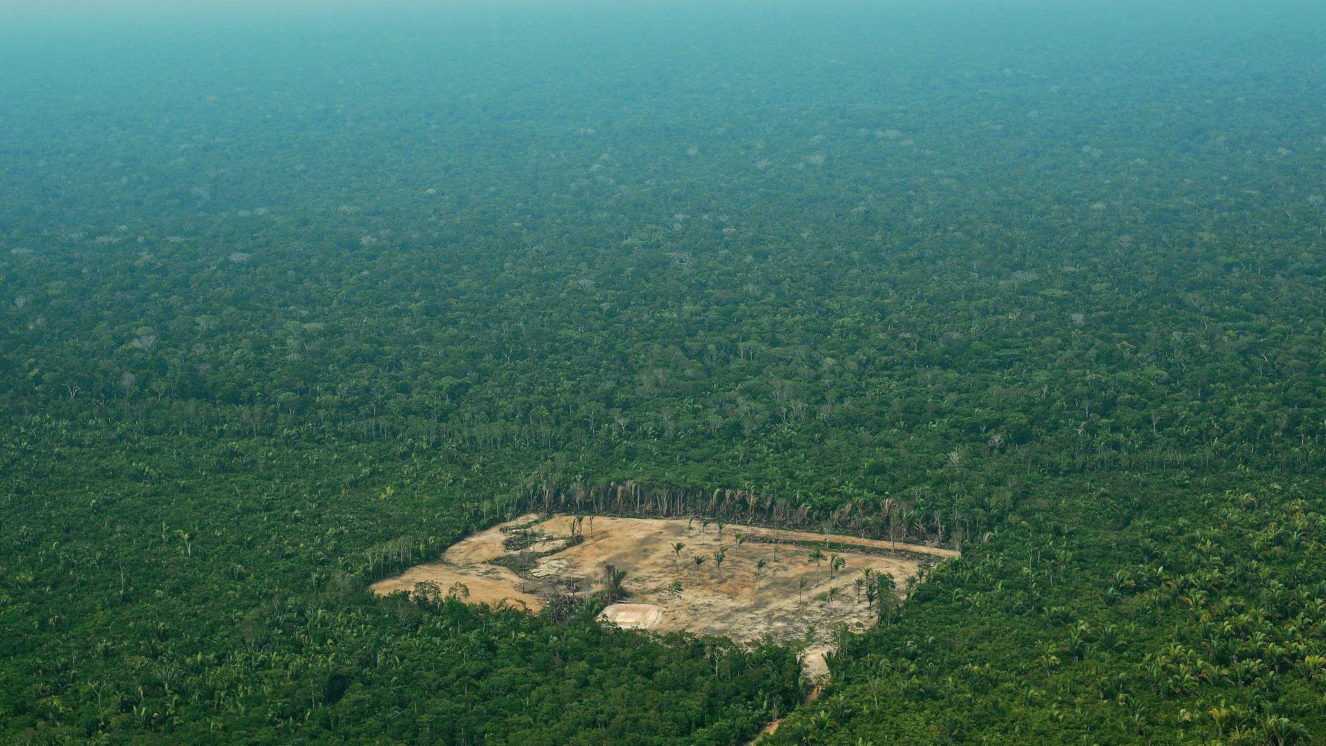 Deforestation of Brazil's Amazon rainforest reaches decade