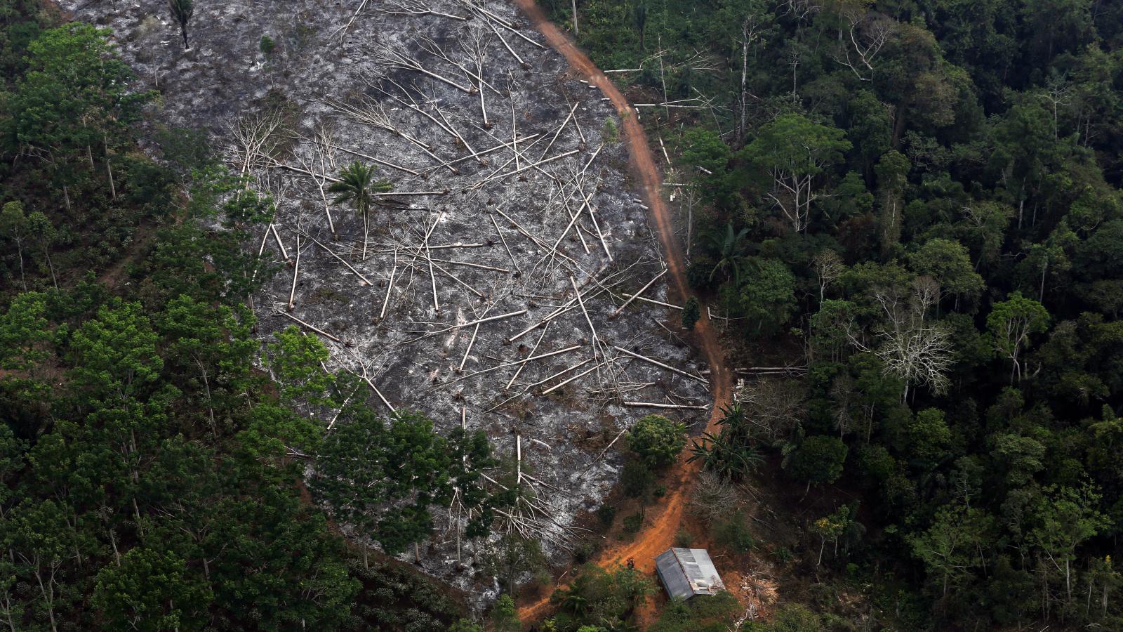 Brazil's Bolsonaro can't hide Amazon deforestation