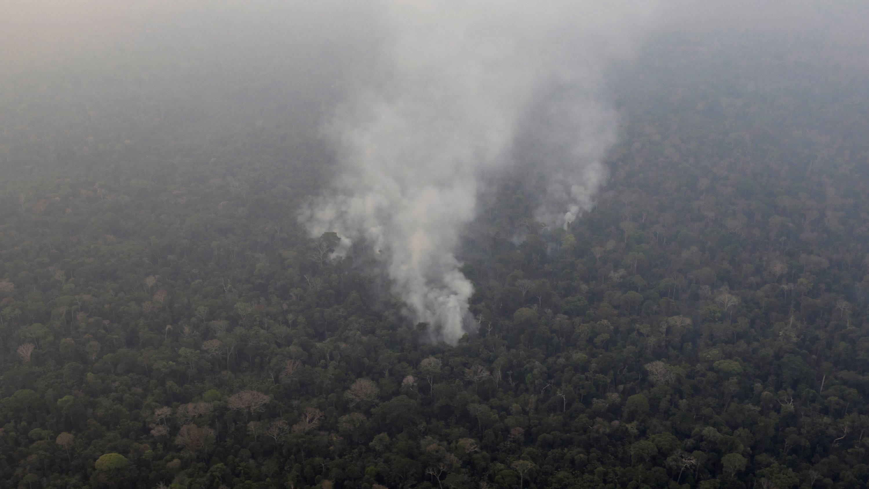 The Rainforest, Critical To Absorbing The Planet’s Carbon Dioxide, Has Seen An Increase In Deforestation Under President Jair Bolsonaro Of Brazil.CreditCreditUeslei Marcelino Reuters