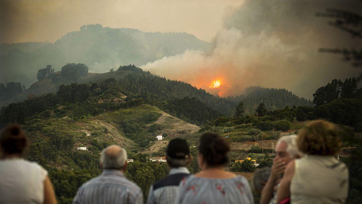 Photos: wildfires hit the Amazon, Brazil, Spain, France