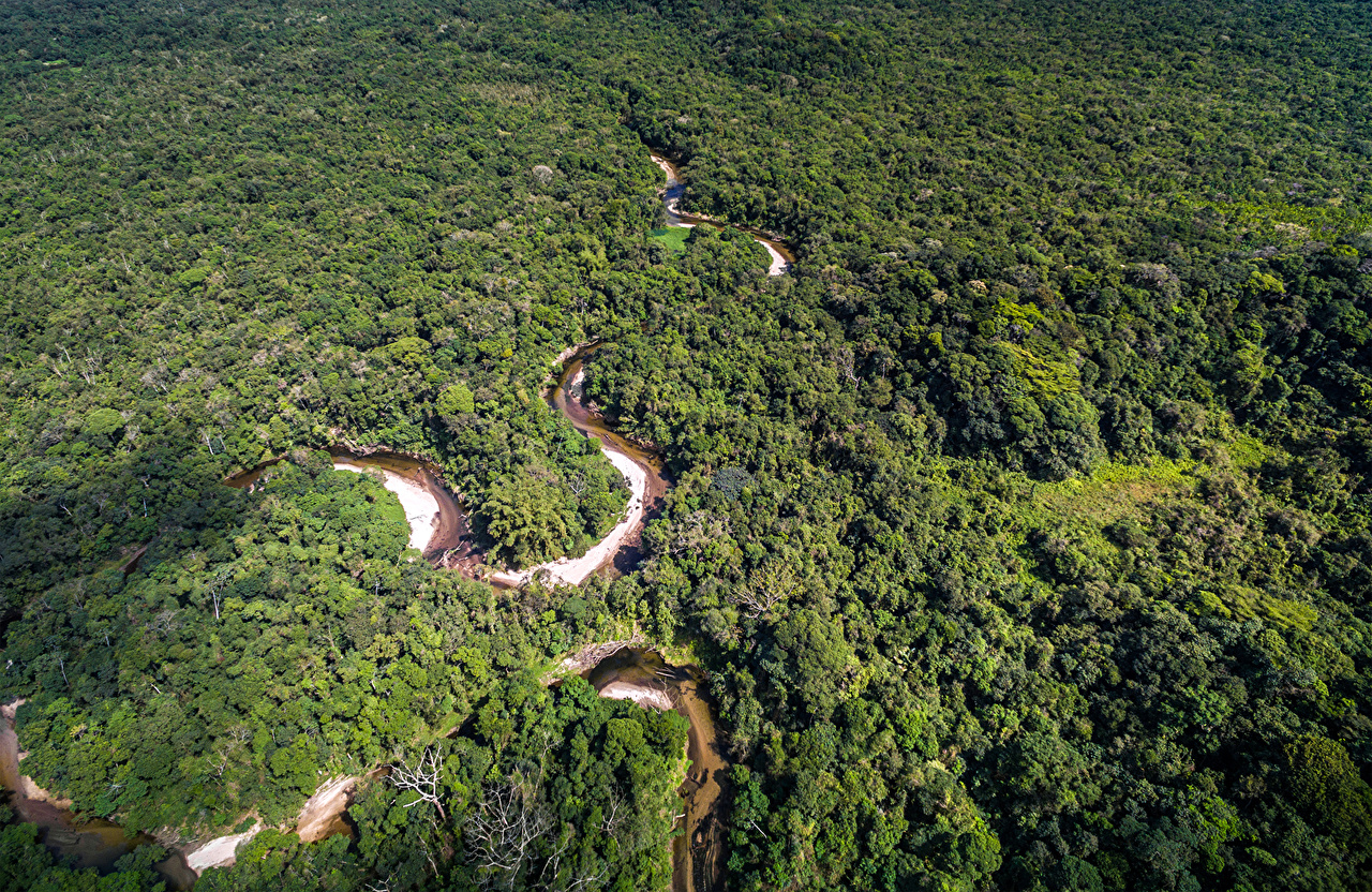Picture Brazil Amazon Jungle Nature forest river From above