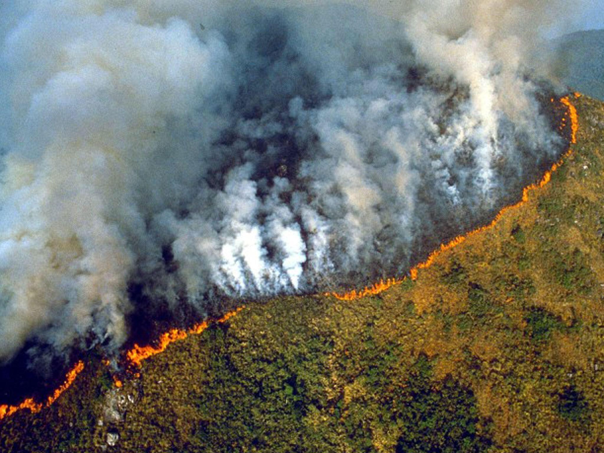 The Amazon forest is burning to the ground. Here's how it