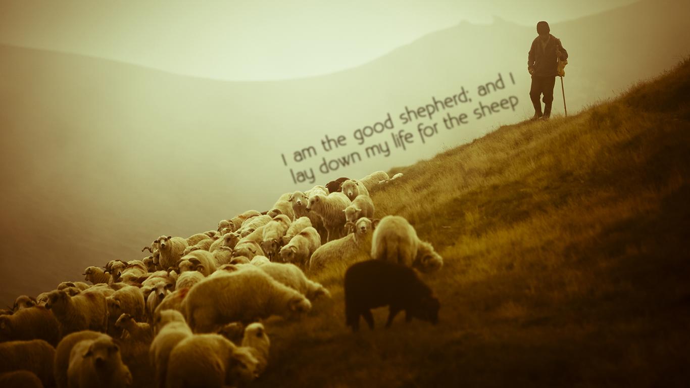 The Shepherd!