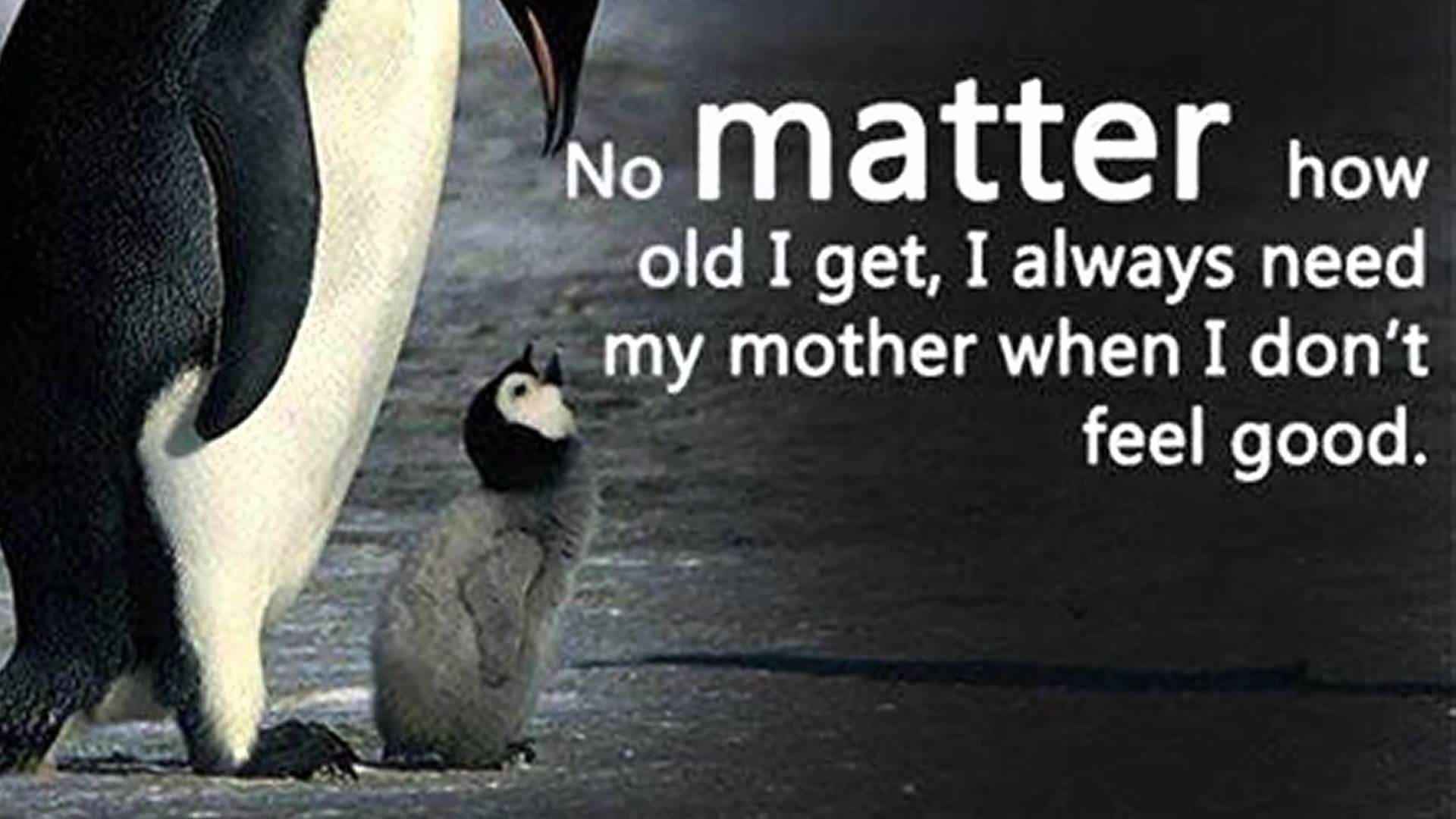 Wallpaper Miss U Mom Dad