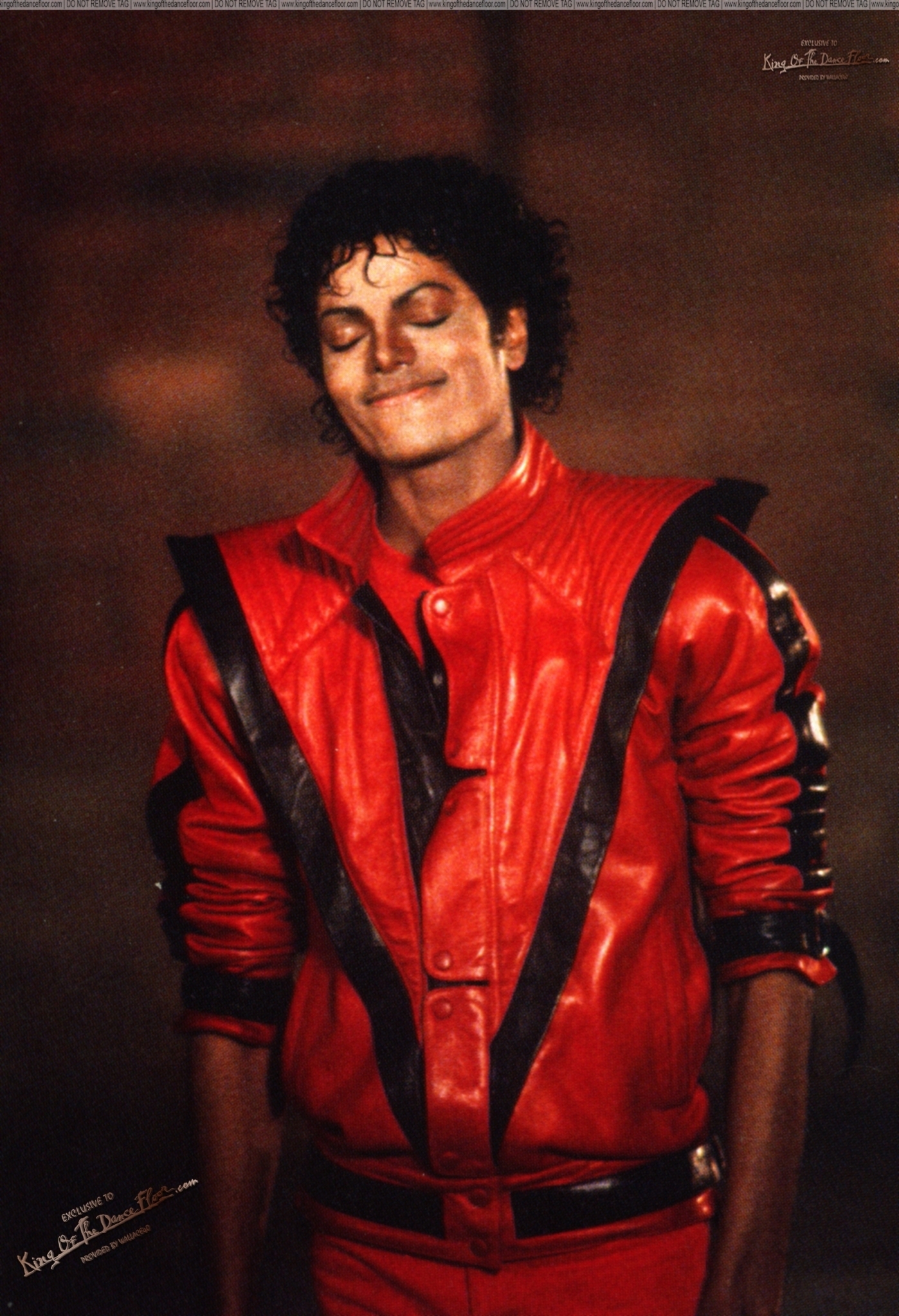MJ Thriller Era Photo