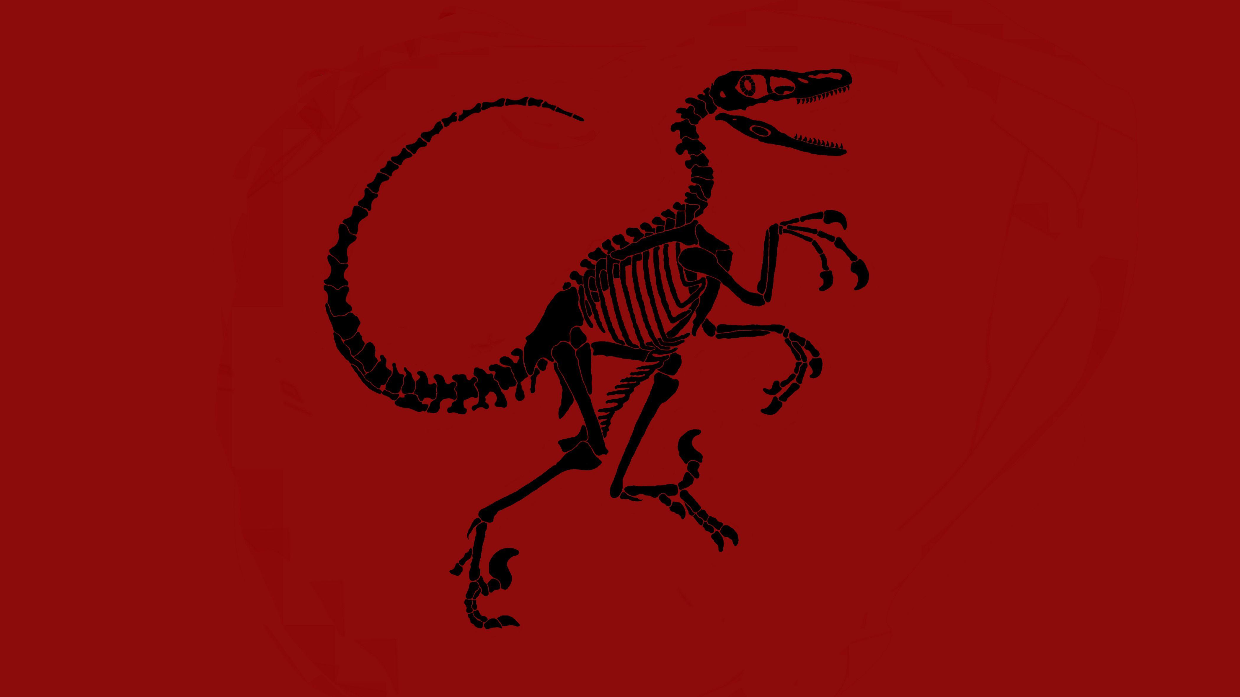 Velociraptor Wallpaper for iPhone