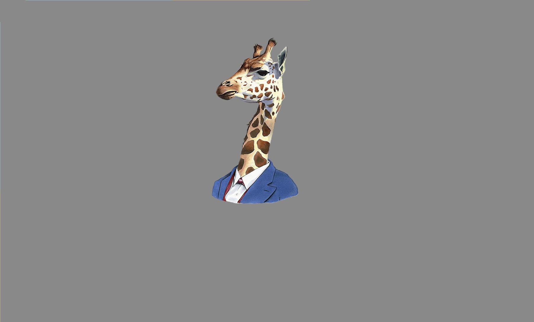 Giraffe illustration, giraffes, Gentleman, minimalism