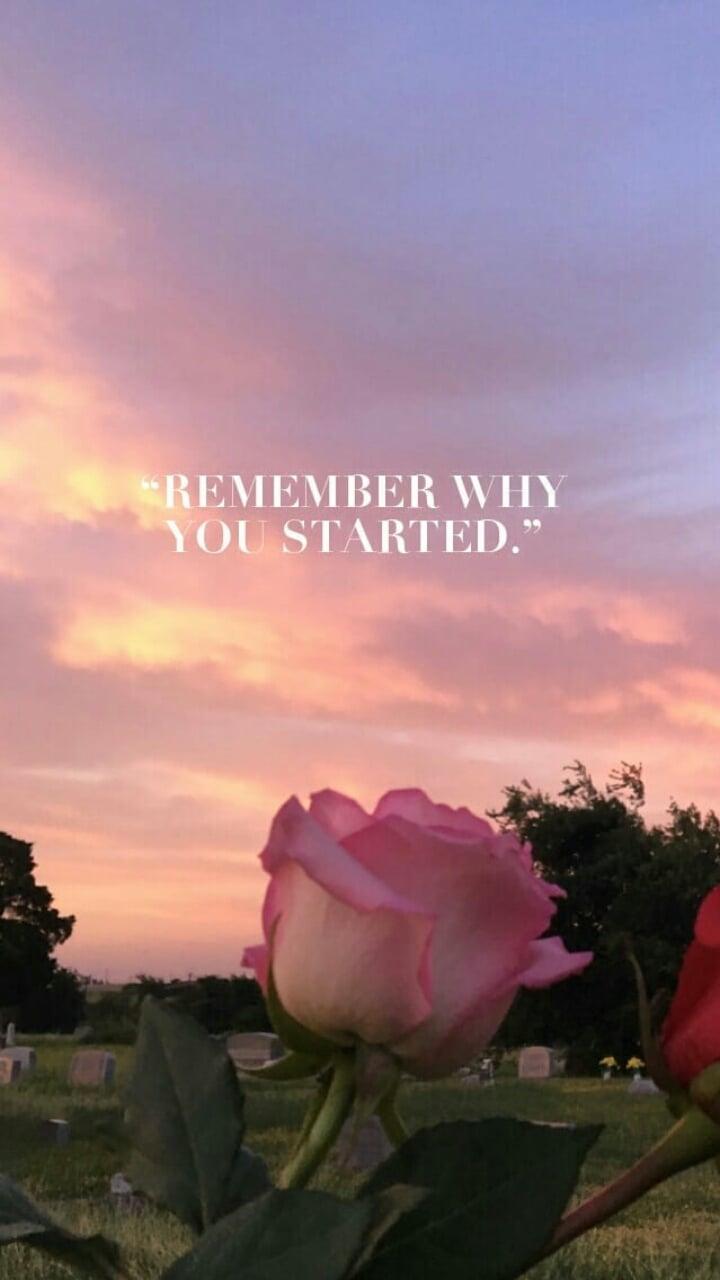 Aesthetic Pink Sunset Wallpaper on quotes