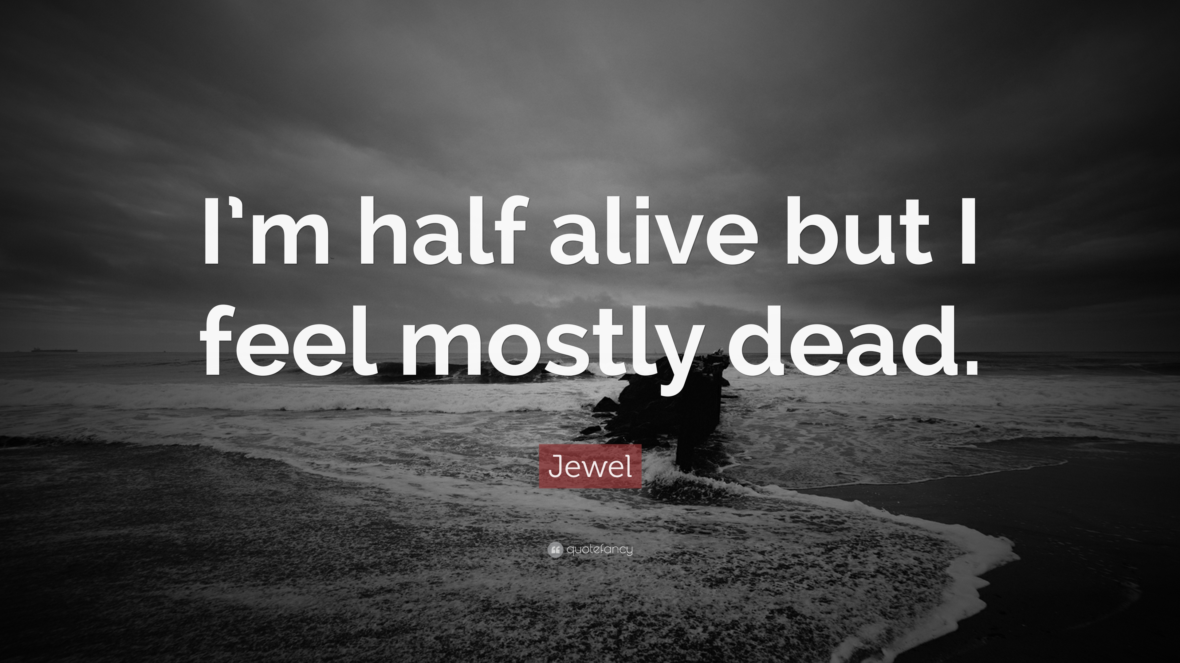 Jewel Quote: “I'm half alive but I feel mostly dead.” 19