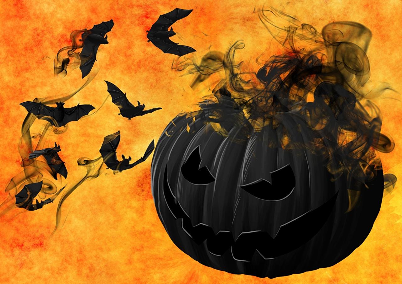 Desktop Wallpaper Halloween Bats Black Pumpkin