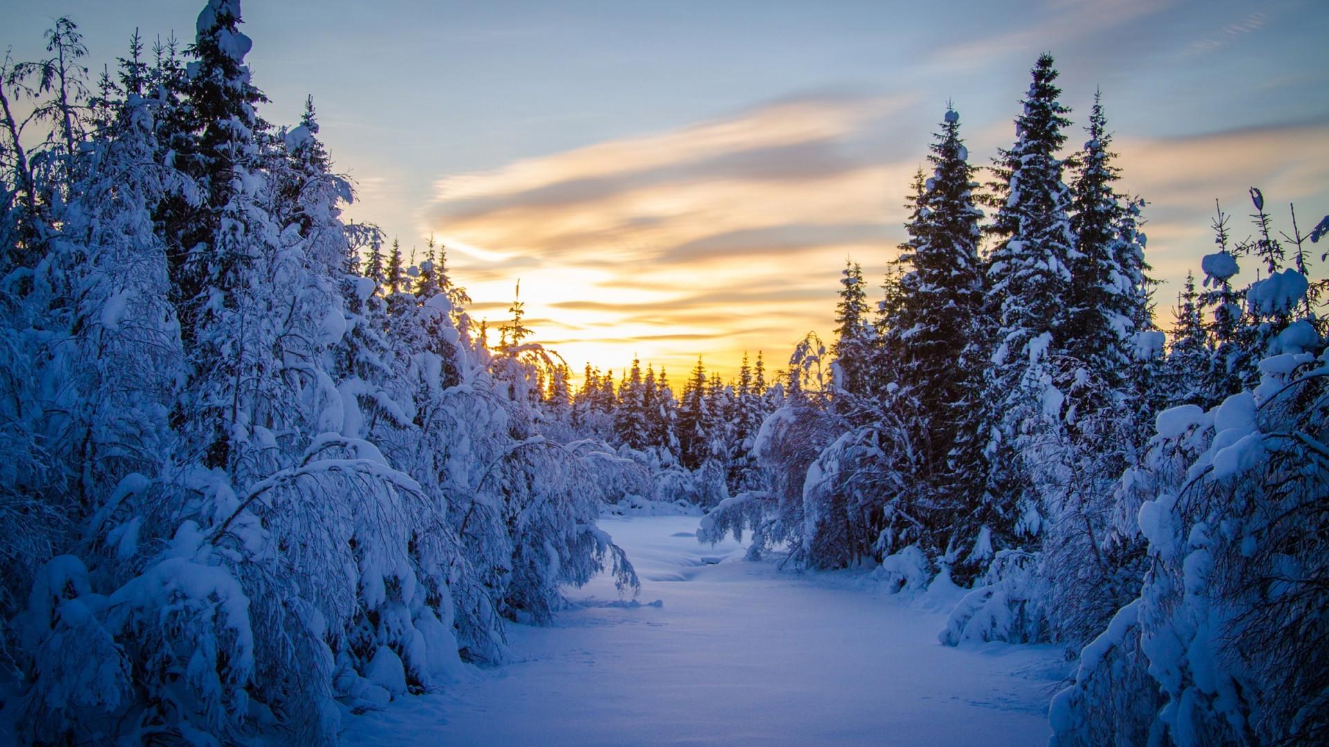 landscape, Snow, Winter, Forest, Trees, Sunrise Wallpaper HD