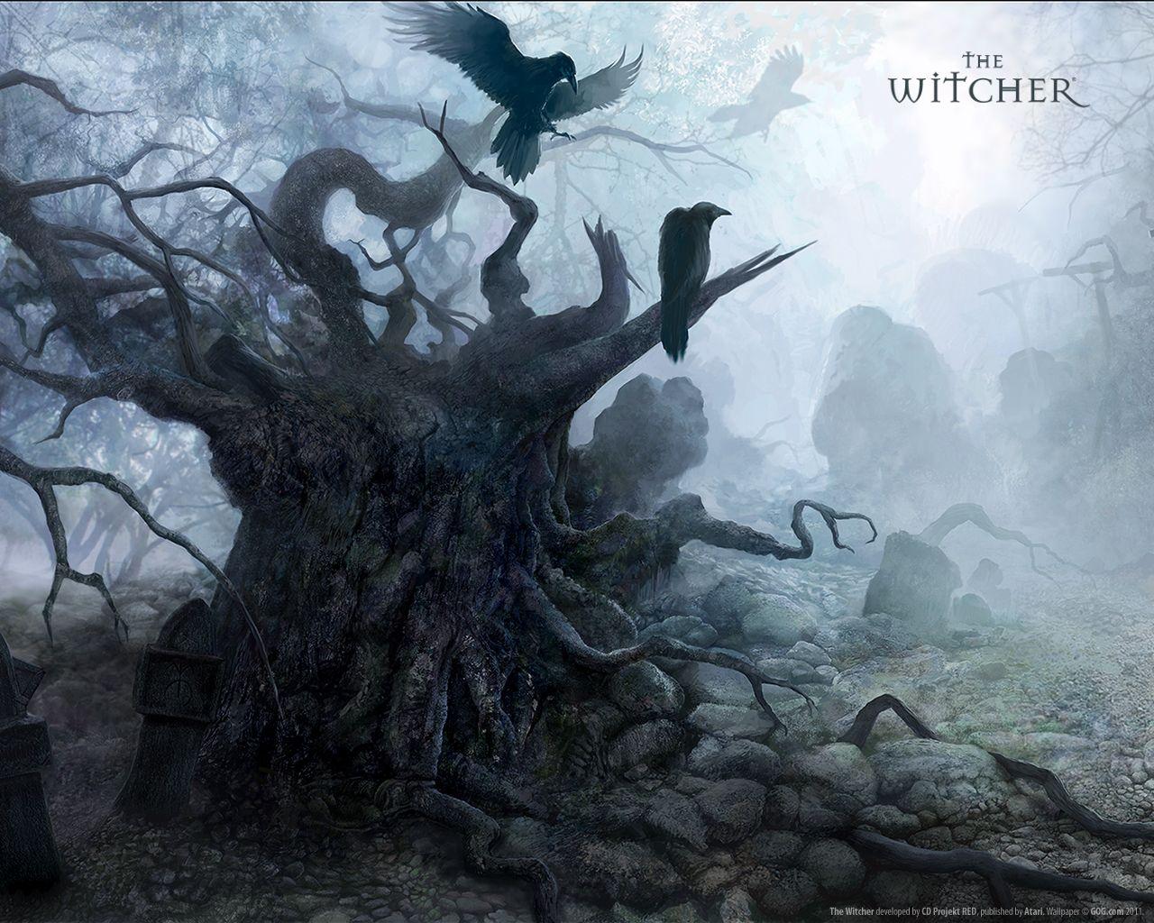 The Witcher 1 Crow Tree Wallpaper. Wallpaper. Art
