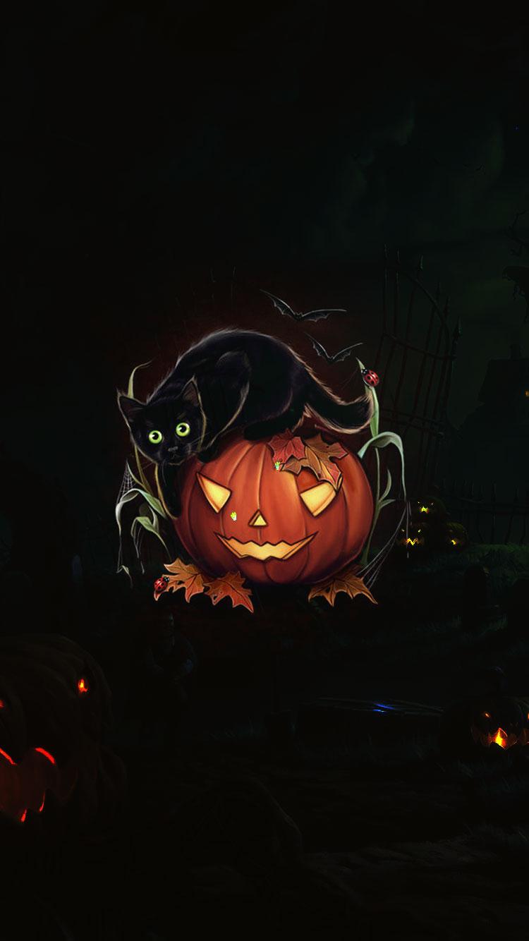 Carved Pumpkin And Evil Black Cat Halloween Free Download
