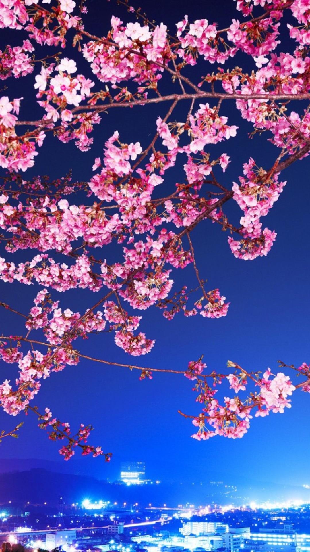 Cherry blossom Wallpaper 4K Pink flowers Blue Sky Flowers 4288