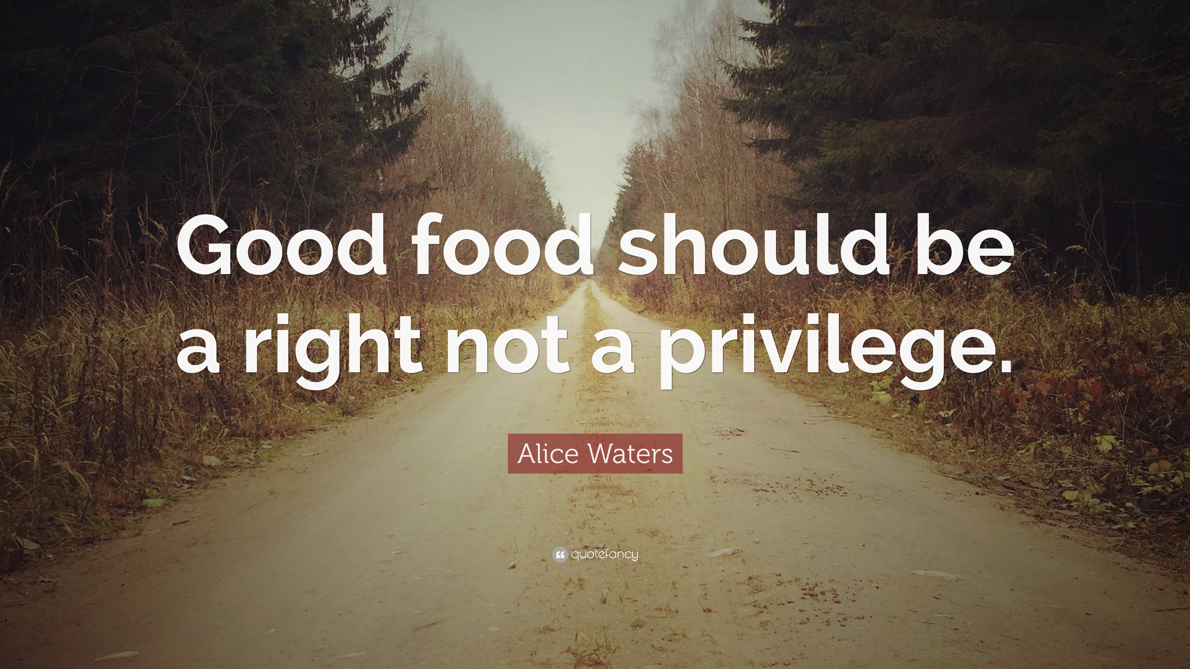 Alice Waters Quote: “Good food should be a right not a