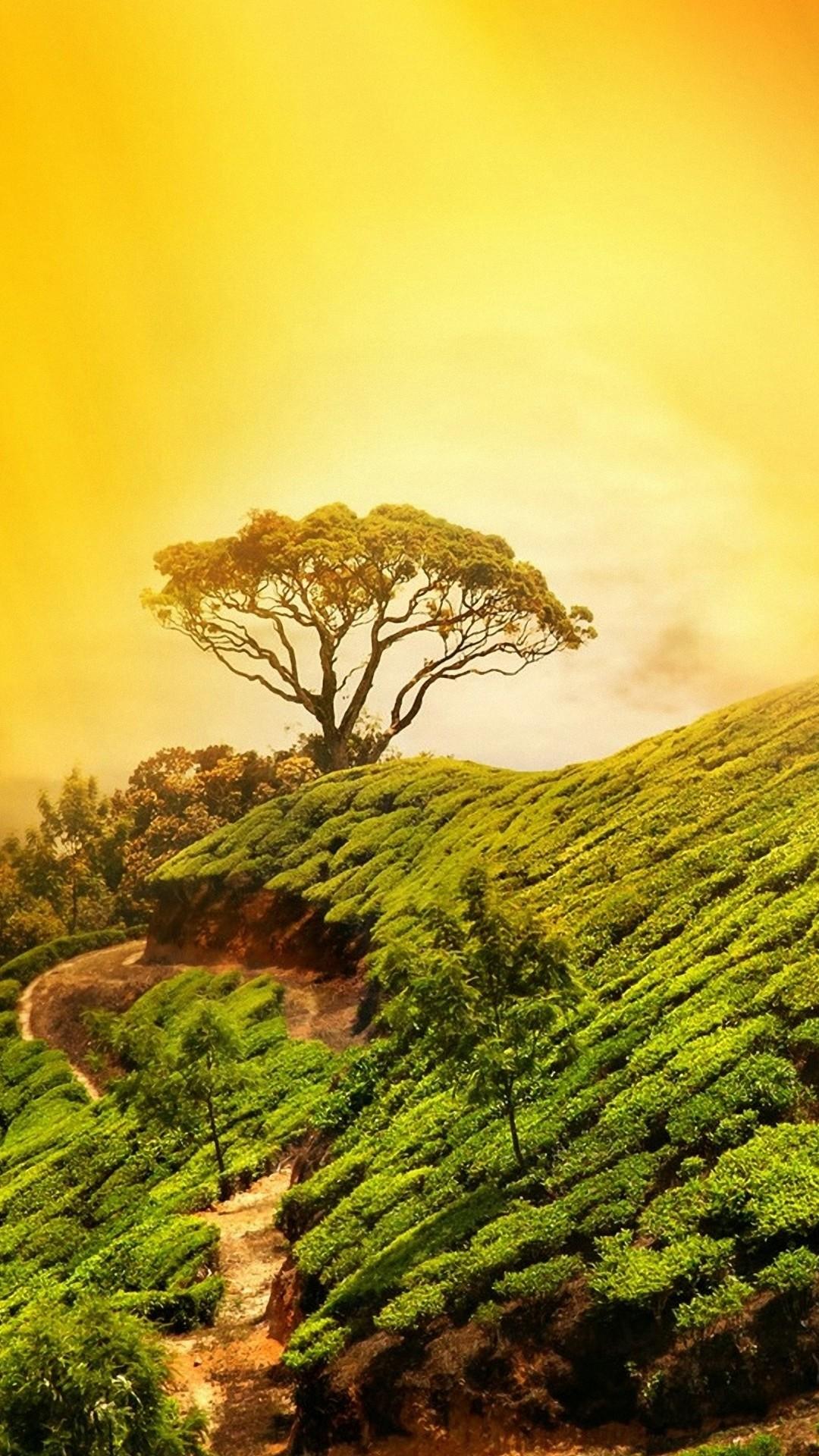 Best Nature Wallpapers iPhone
