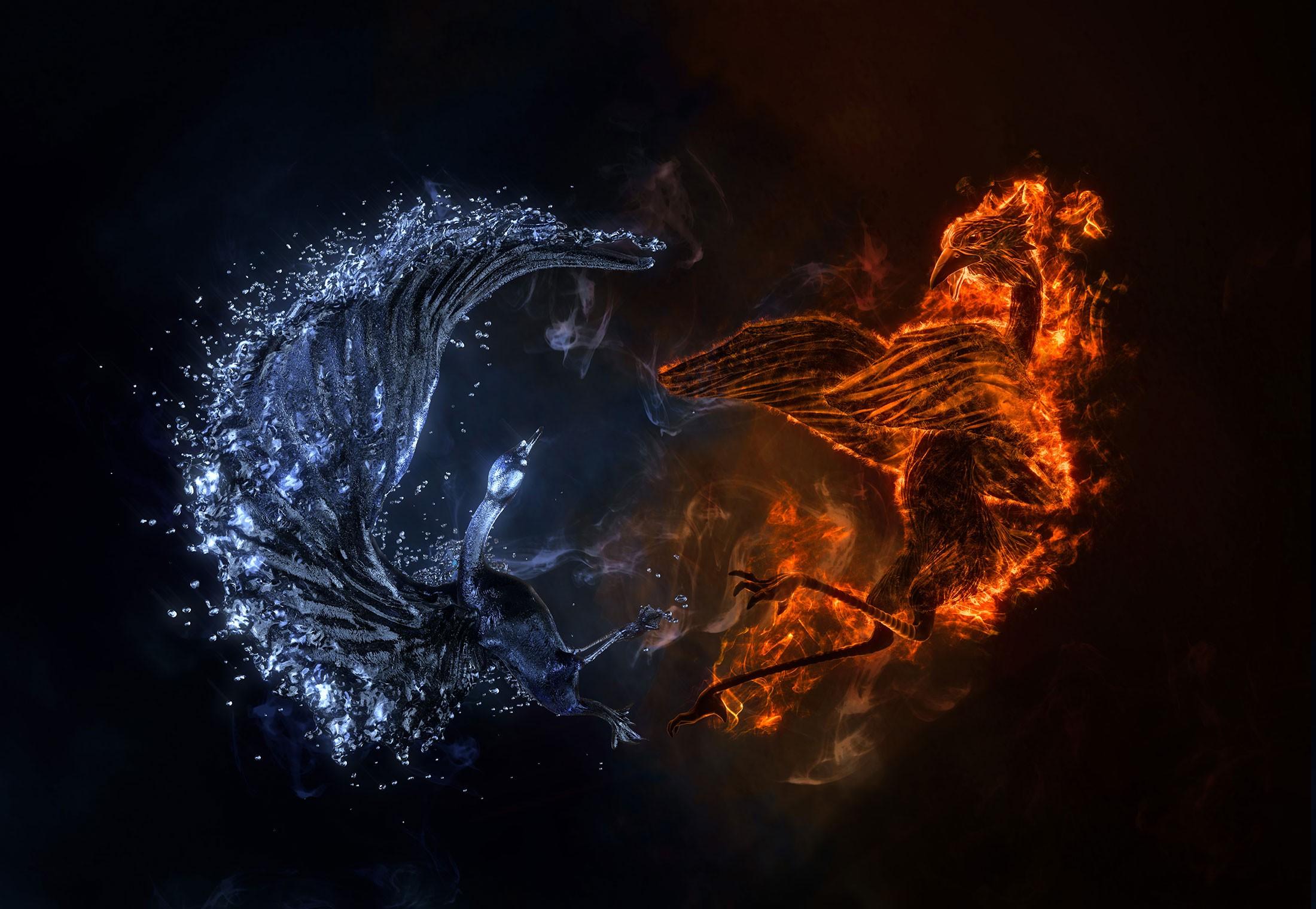 fire, Water, Birds, Duck, Abstract Wallpaper HD / Desktop