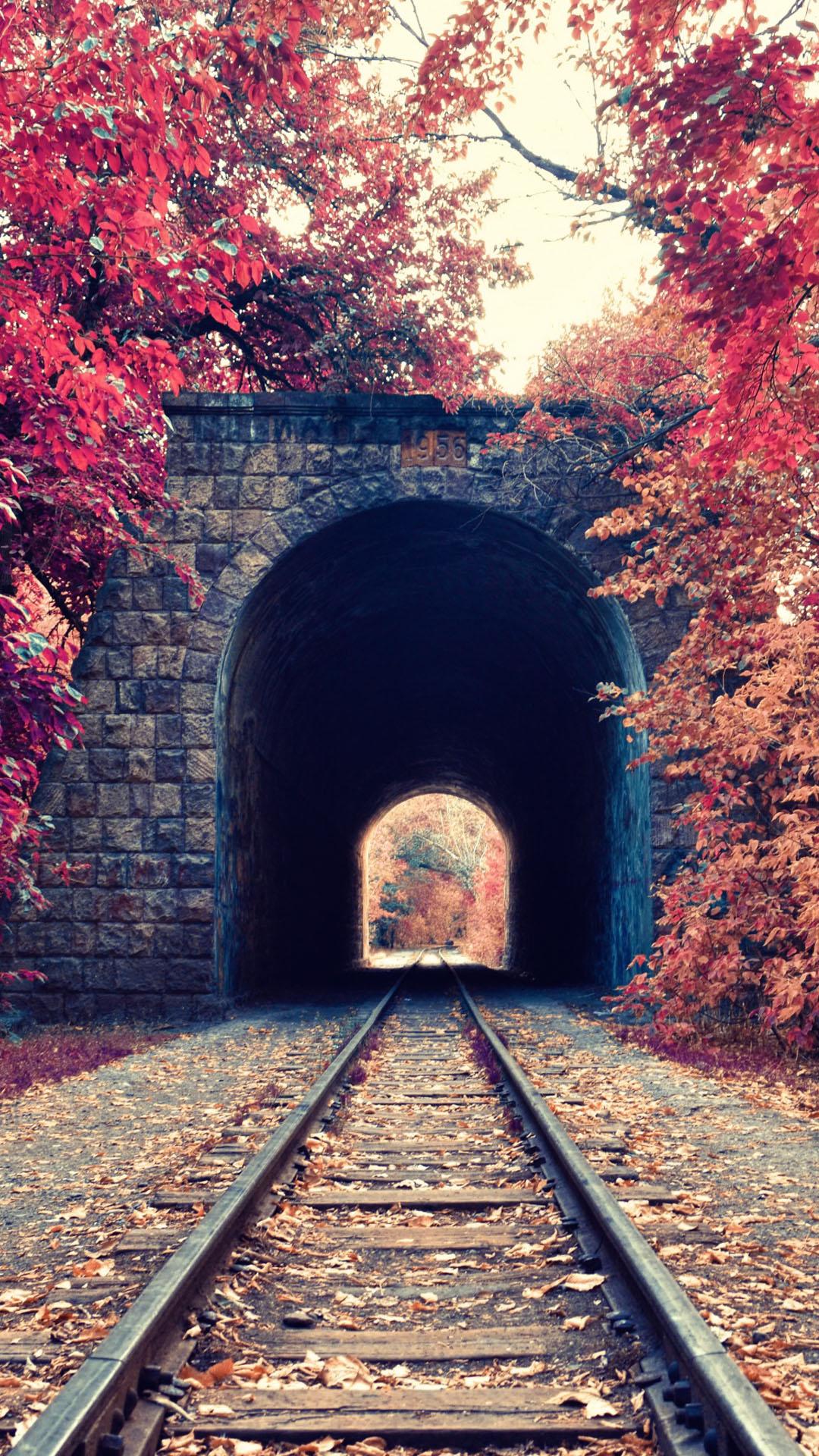 Autumn Train Tunnel Red Tree Leaves iPhone 6 Plus HD