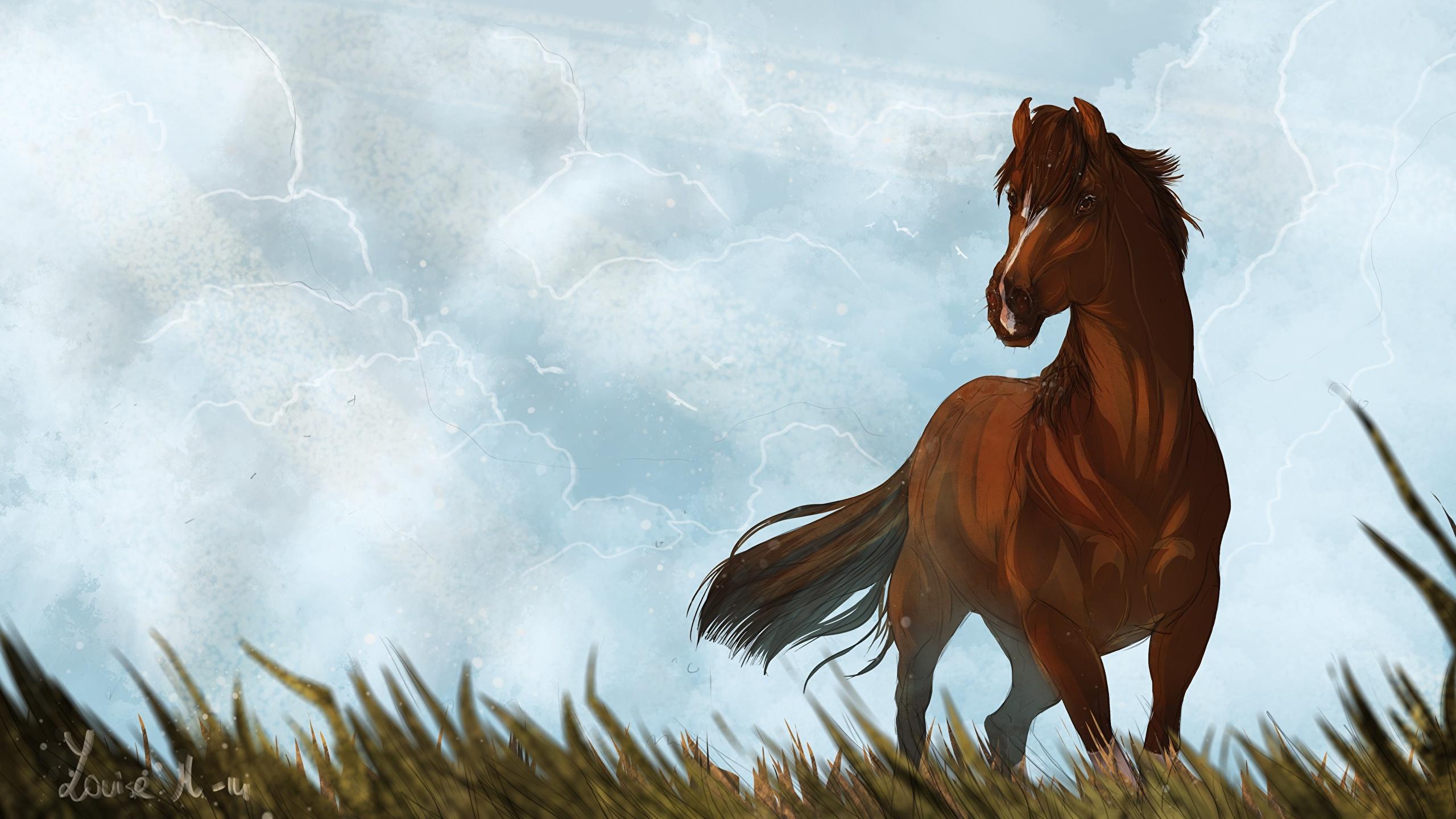 Desktop Wallpaper Spirit: Stallion of the Cimarron Horses
