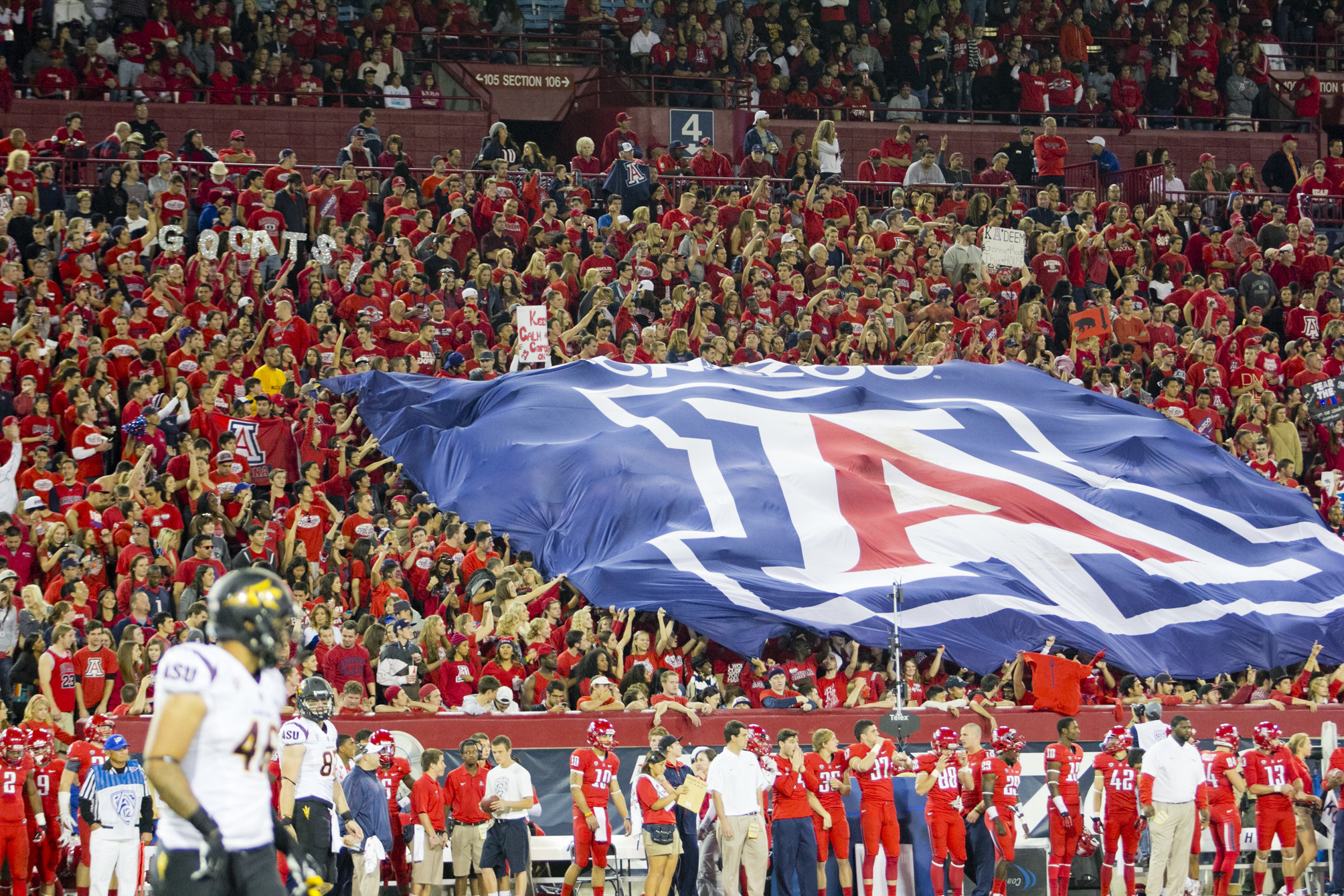 University of Arizona Wildcats
