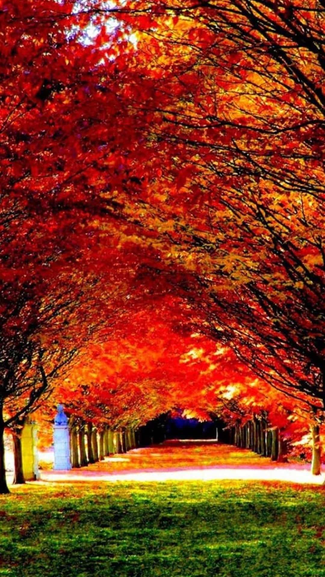 3D HD Nature Wallpaper For Mobile HD Wallpaper