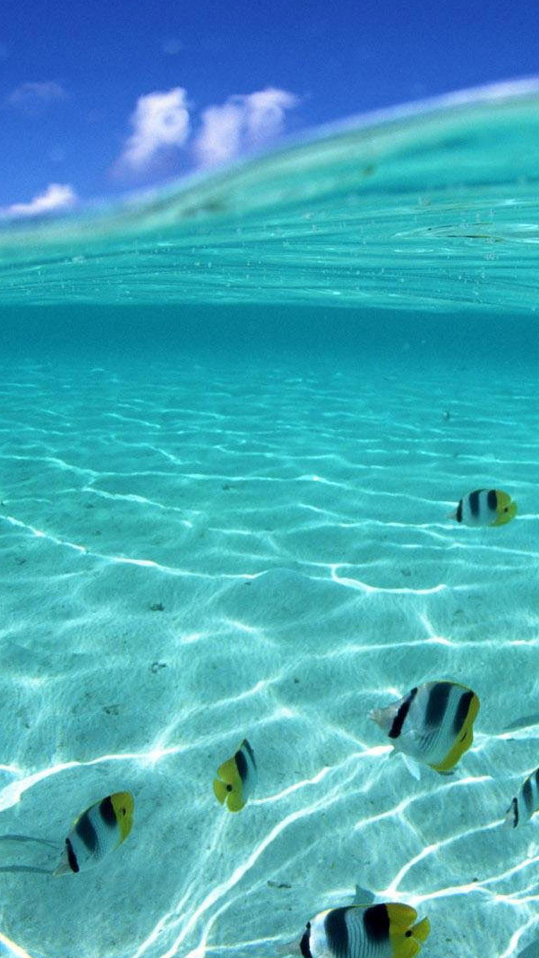 Half Underwater Smartphone HD Wallpaper ⋆ GetPhotos