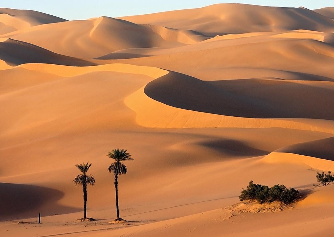 Nature Wallpaper, High Quality Image, Natural, Amazing