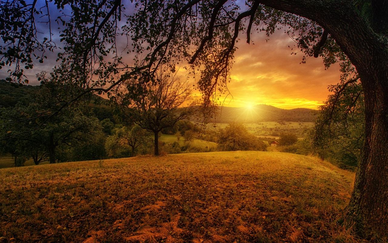 Tree Sun Aesthetic Dawn Landscape Panorama 720P HD