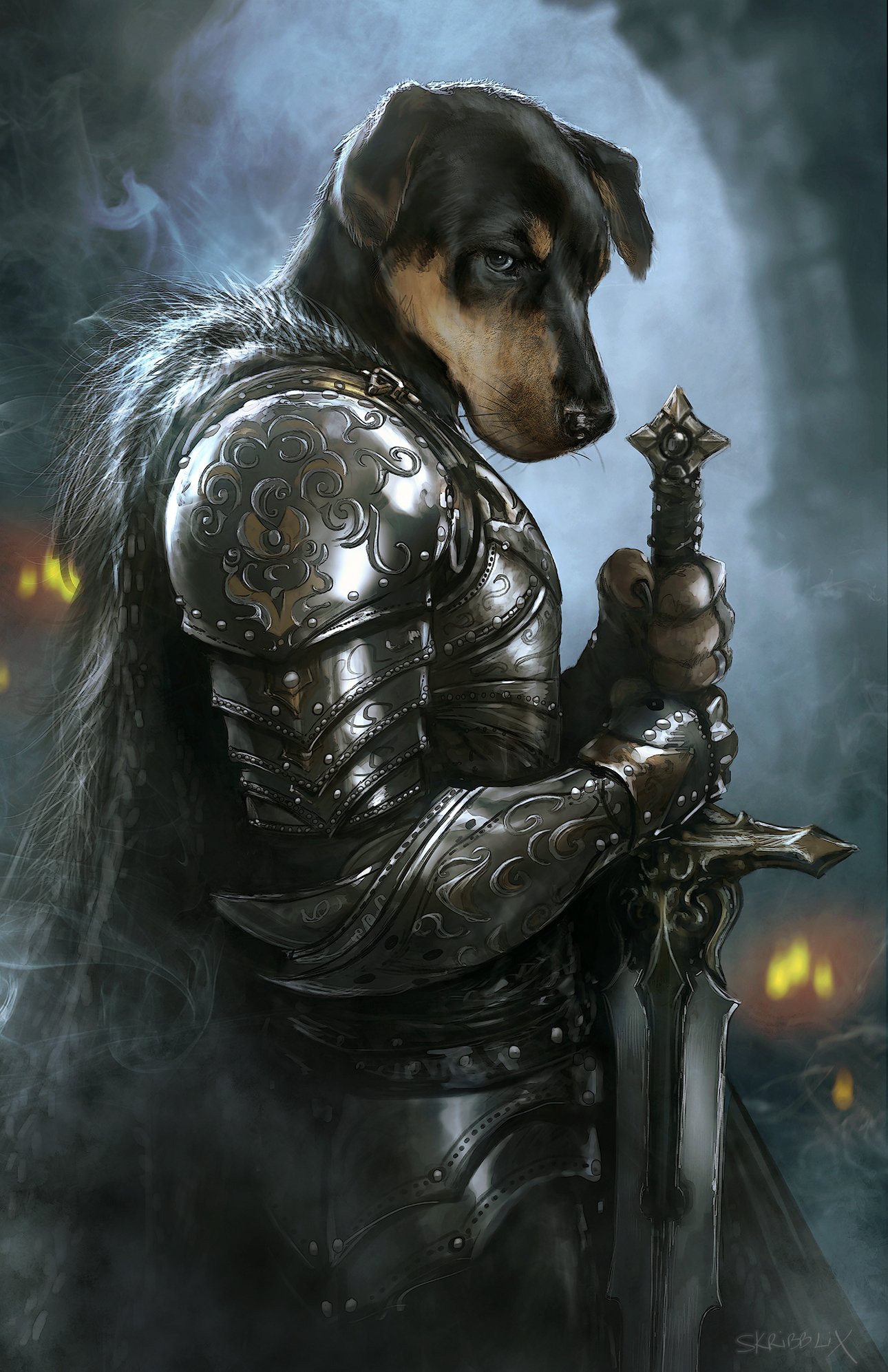 Wallpaper Dogs Armor warrior Fantasy