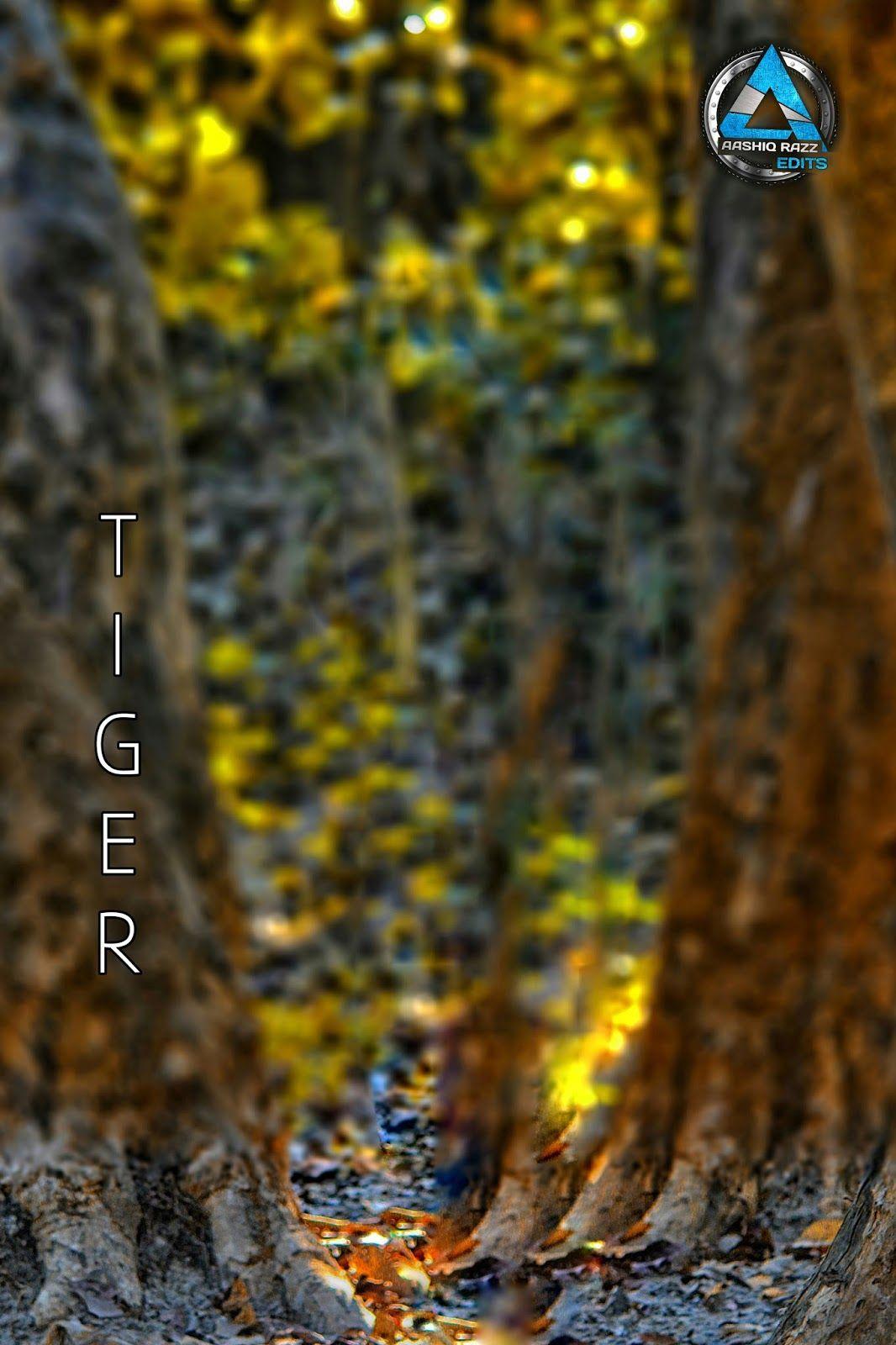 photo editor blur background free download