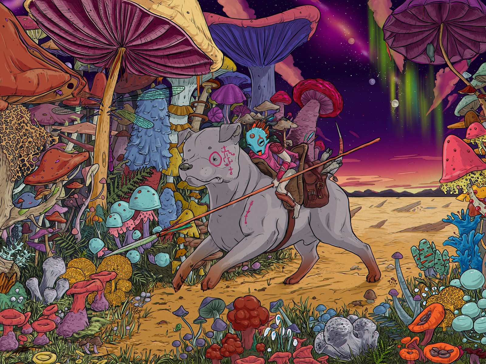 Download wallpaper 1600x1200 dog, rider, mushrooms, warrior