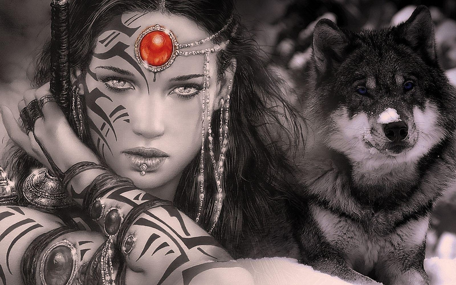 Warrior Dog Wallpapers Wallpaper Cave
