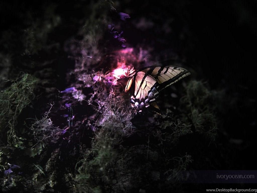 Hd Wallpaper For Photo Editing