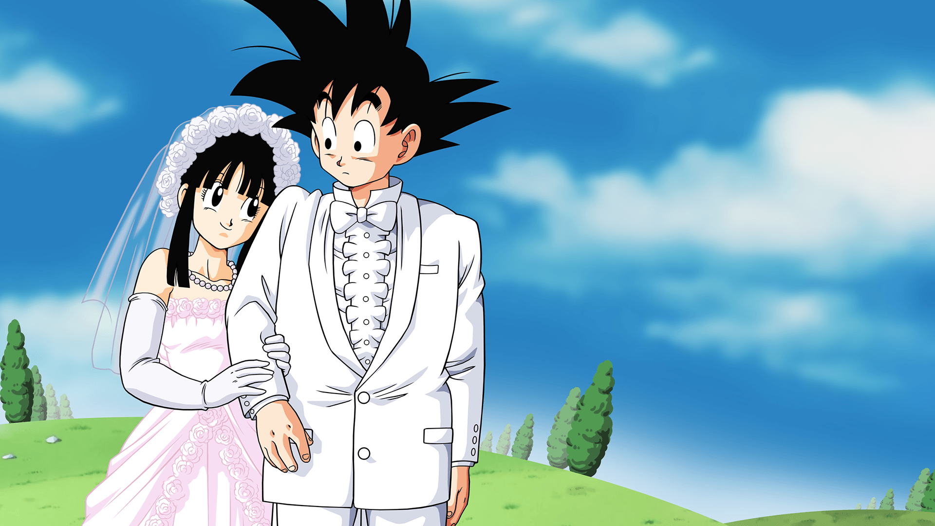 Goku And Chi Chi Marriage Computer Wallpaper, Desktop Background
