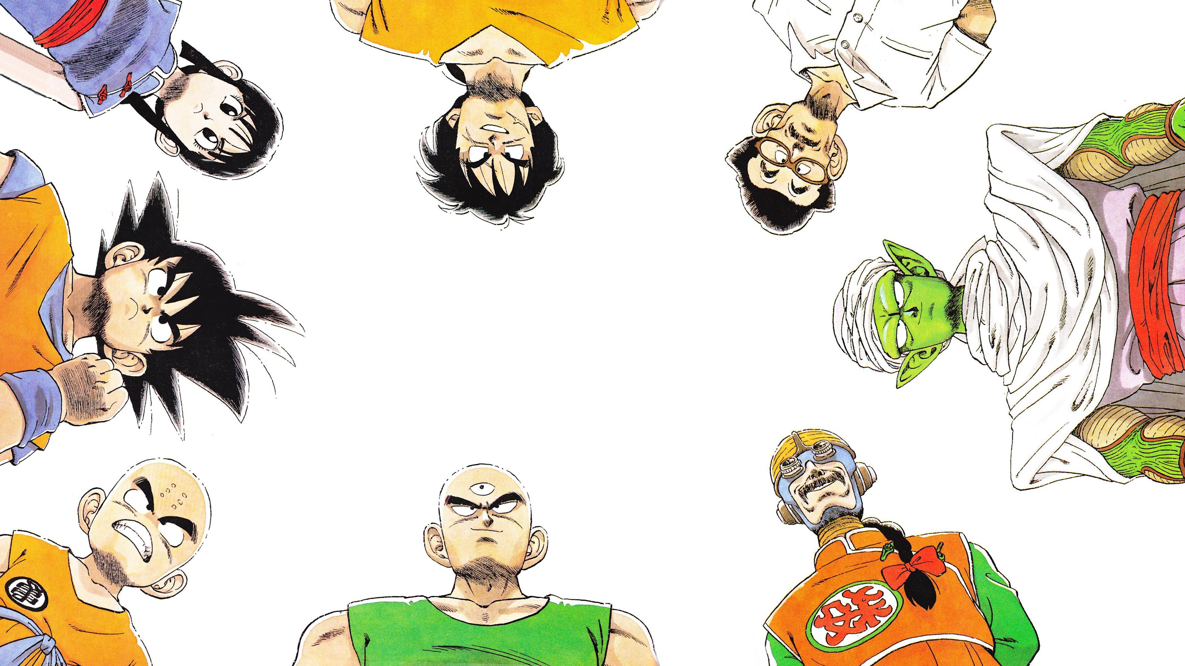 Dragon Ball Z, Son Goku, Krillin, Chi Chi, Tien Shinhan
