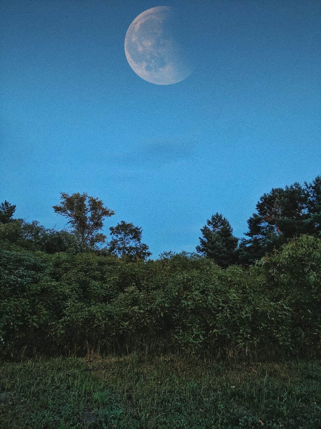Lo Fi Picture. Download Free Image