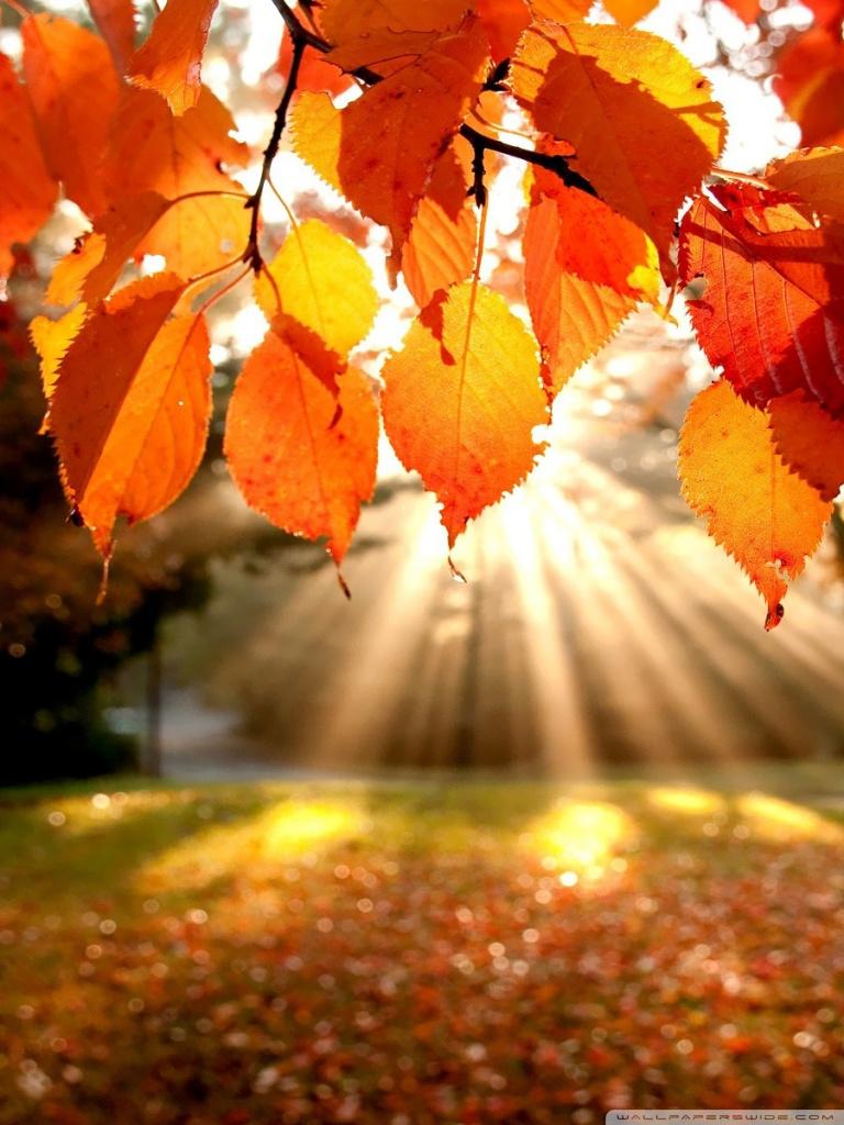 Autumn Landscape ❤ 4K HD Desktop Wallpaper for 4K Ultra HD
