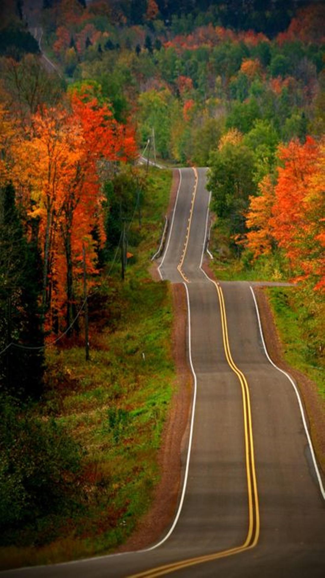 Autumn Back Road wallpaper